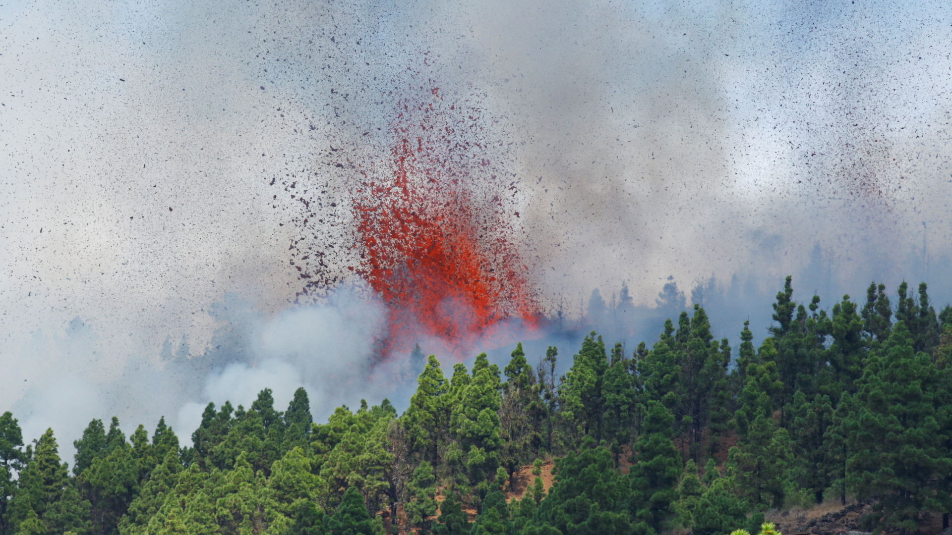 Lava und Rauch schießen aus einem Vulkan auf La Palma. | REUTERS