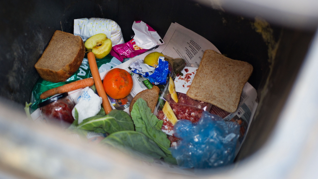 Essen liegt in einer Mülltonne.
