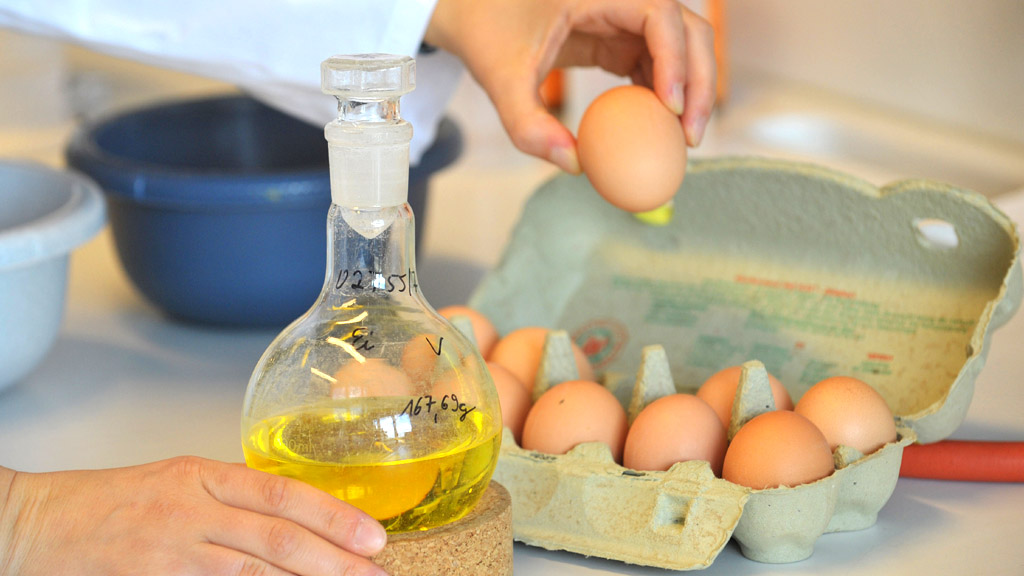Kontrolle von Eiern in einem Labor | picture alliance / dpa