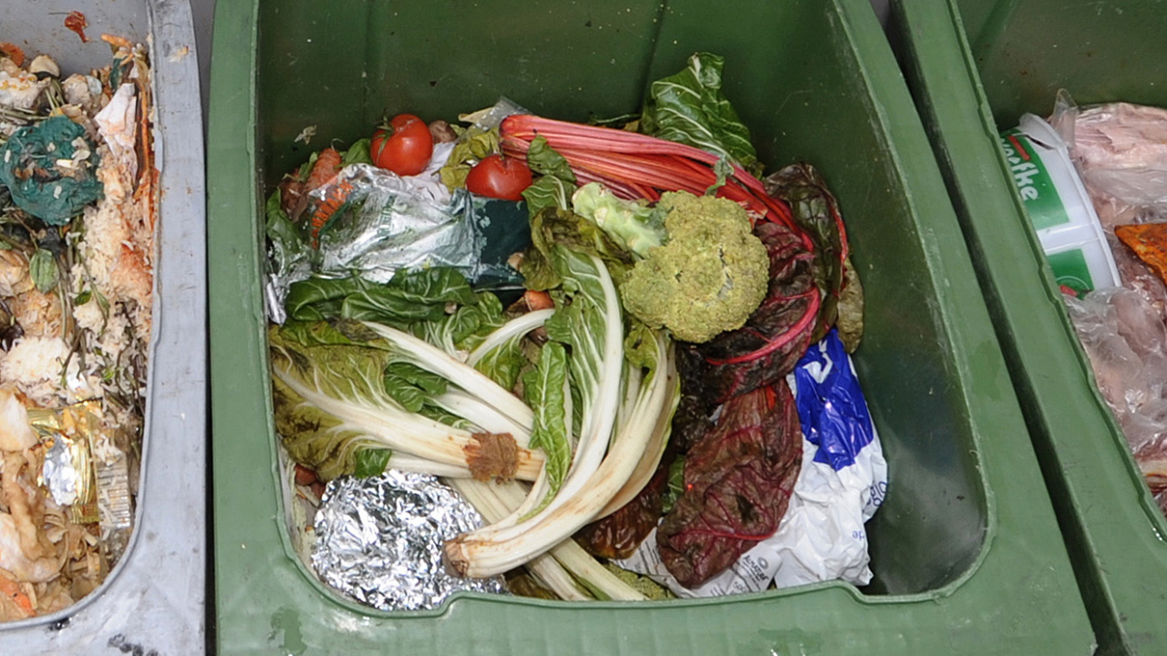 Lebensmittel im Müll | dpa