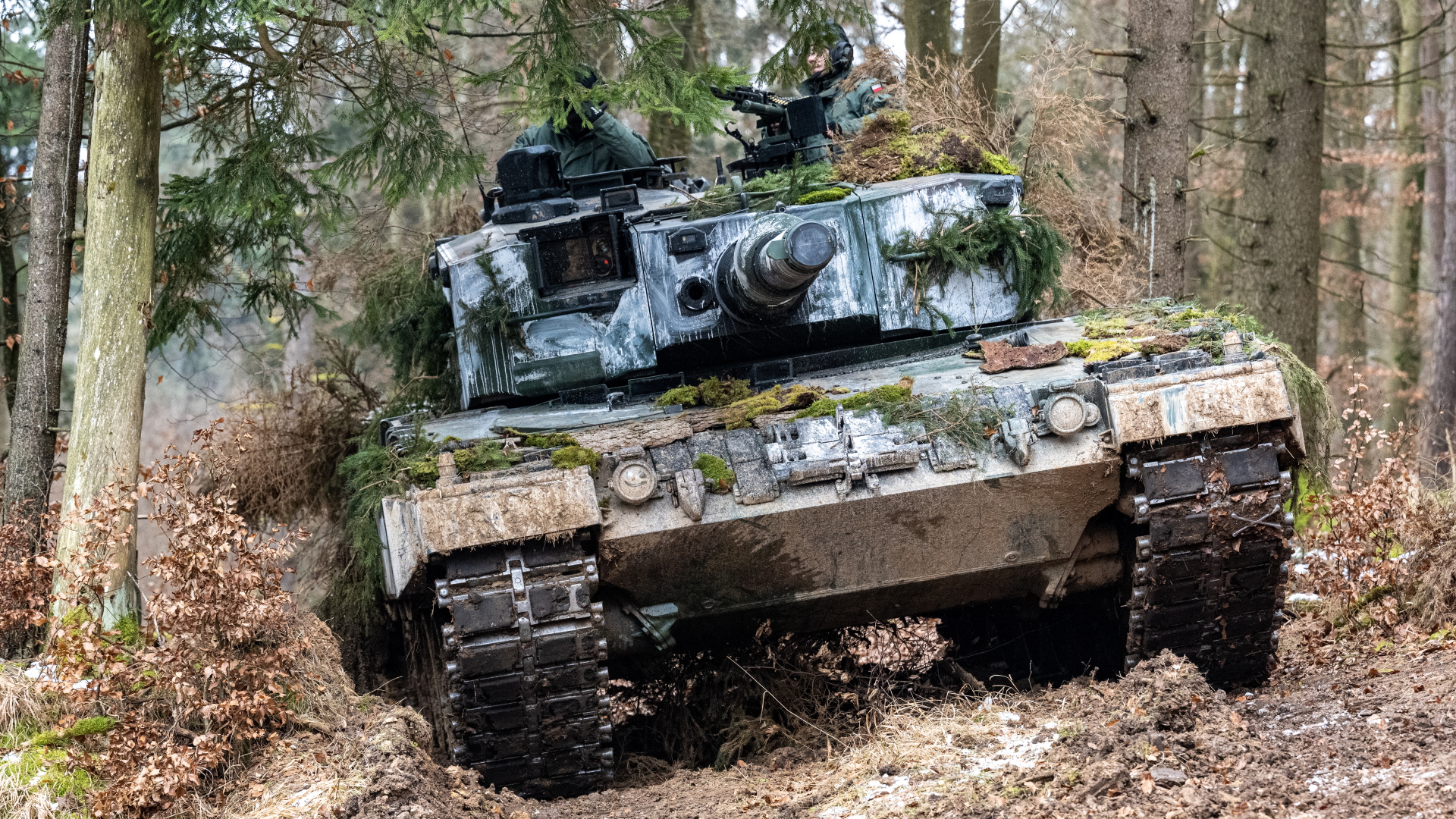 Ein Panzer der polnischen Armee vom Typ Leopard 2 steht auf dem Gelände des Truppenübungsplatzes Hohenfels in einem Waldstück. (Archivbild vom 27. Januar 2022) | dpa