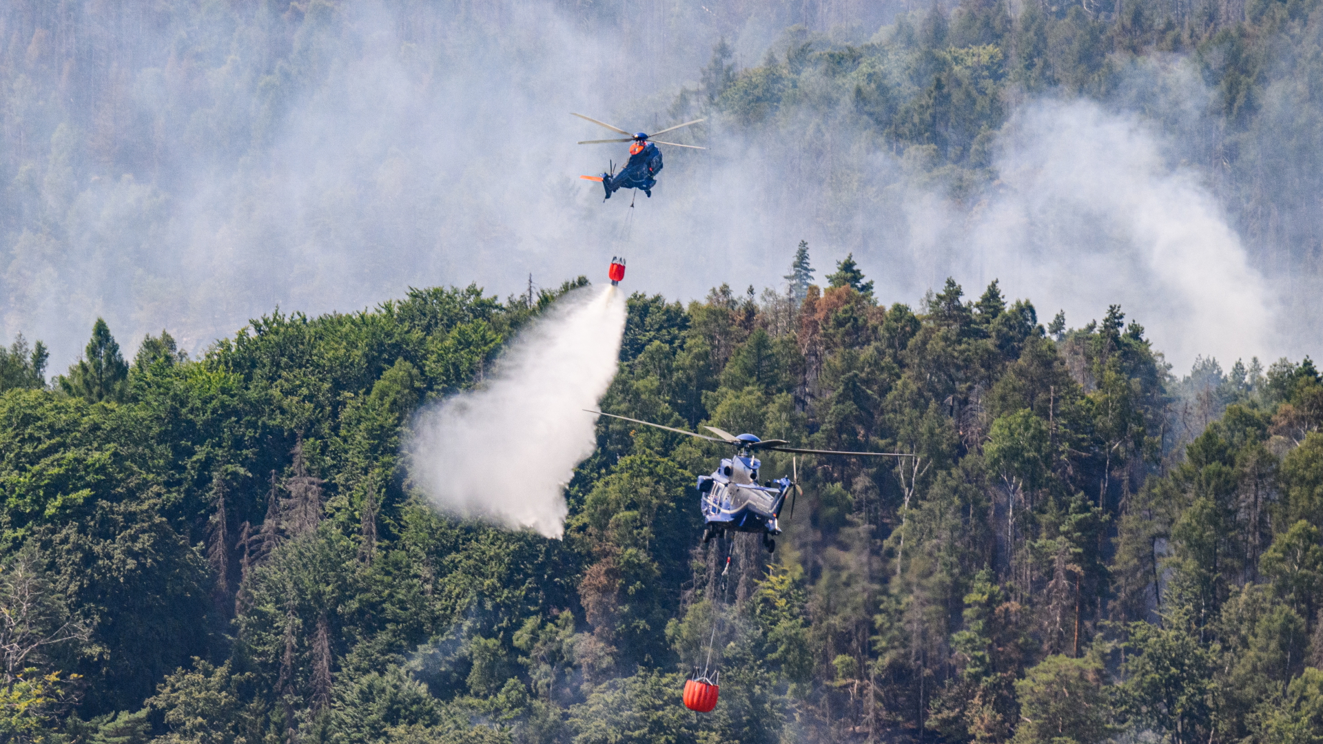 Hubschrauber der Bundespolizei mit Löschwasser-Außenlastbehälter über einem Waldbrand im Nationalpark Sächsische Schweiz. | dpa