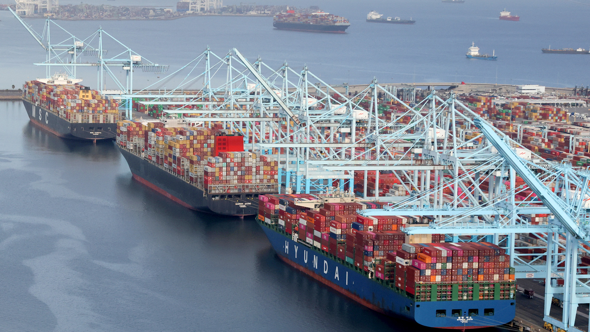 Containerschiffe werden in Long Beach, dem Hafen von Los Angeles, entladen | REUTERS
