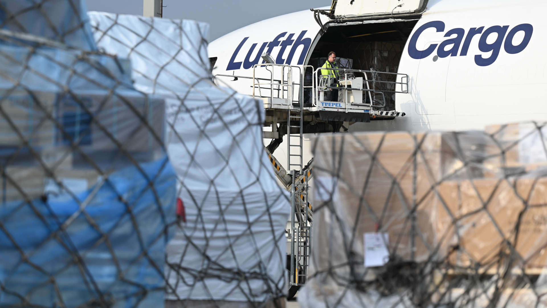Frachtflugzeug der Lufthansa Cargo | dpa