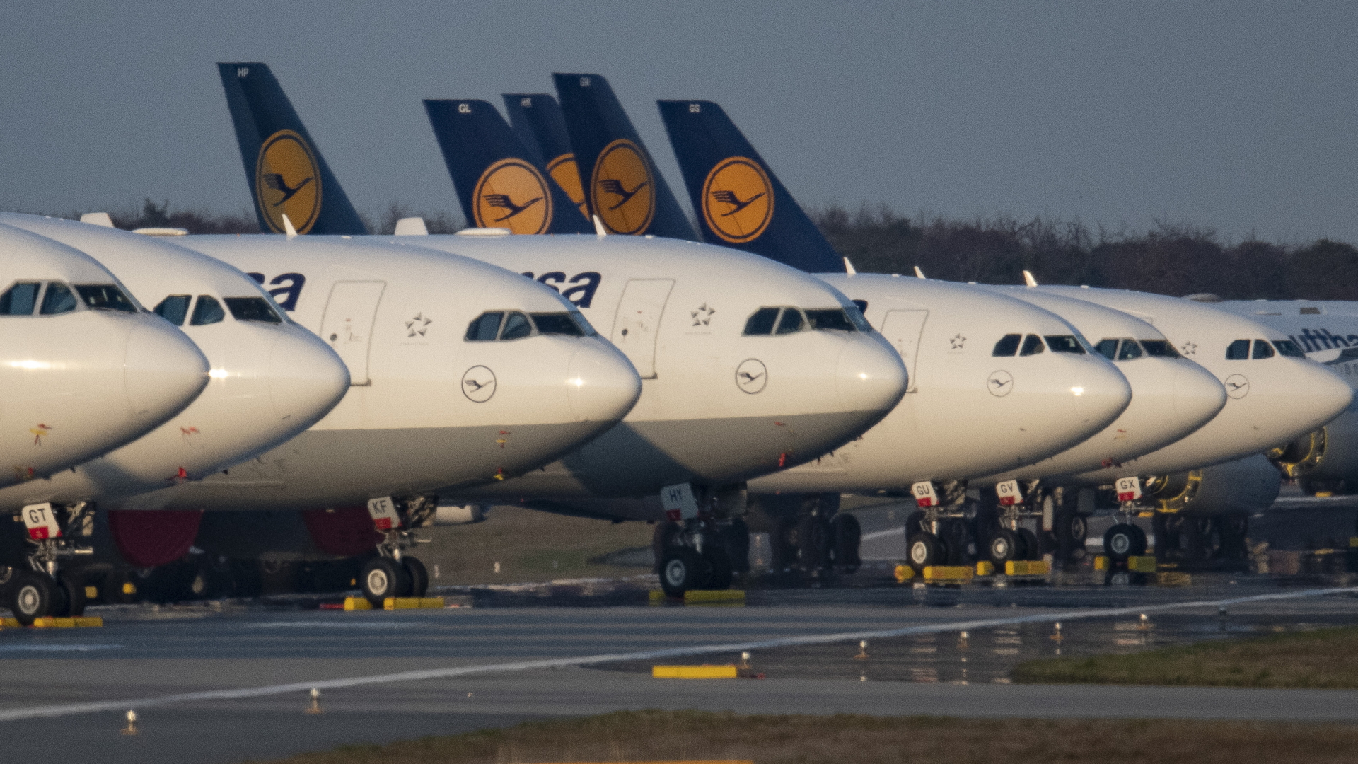 Eine Reihe wegen der Corona-Krise geparkter Lufthansa-Maschinen am Frankfurter Flughafen.   | dpa