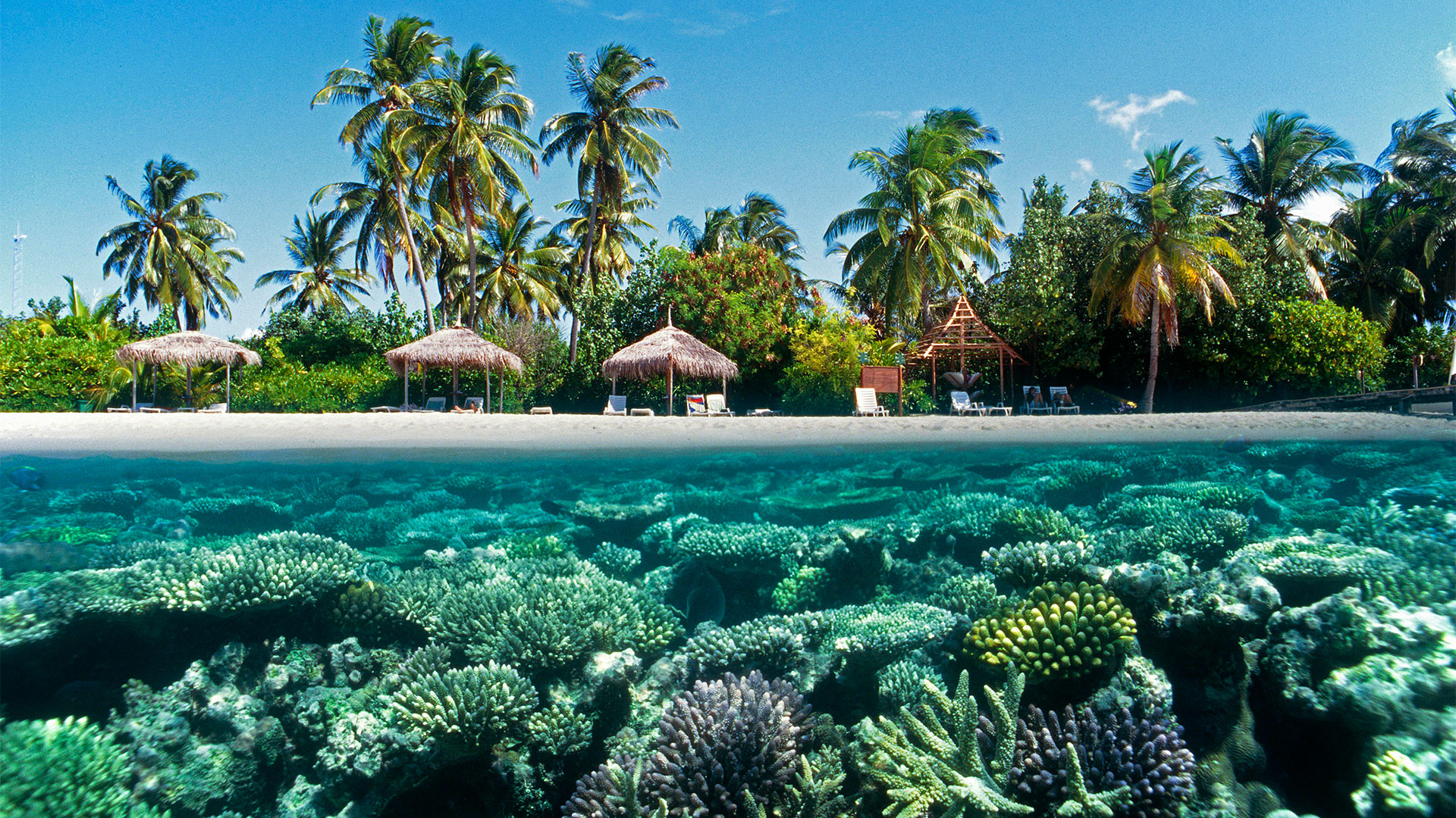 Malediven, Strand und Korallenriff | picture alliance / imageBROKER