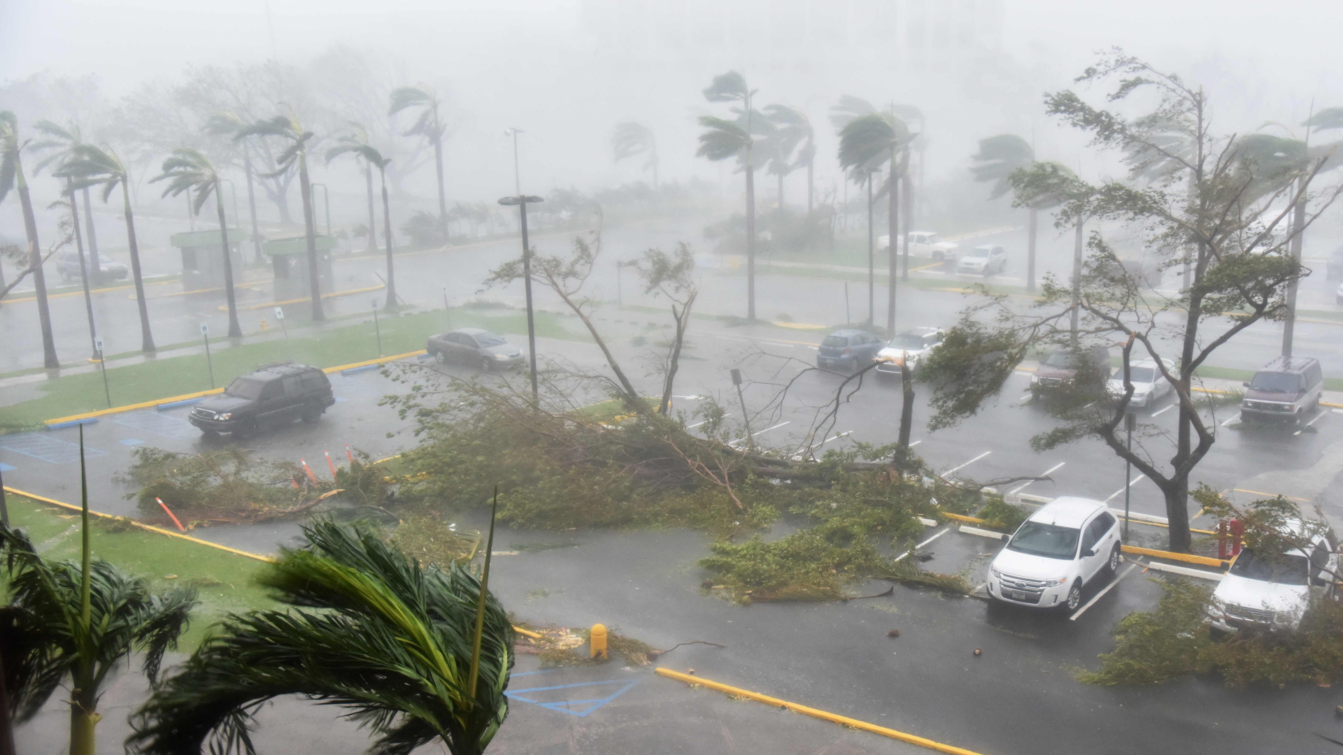 Der Sturm "Maria" in San Juan, Puerto Rico | Bildquelle: AFP