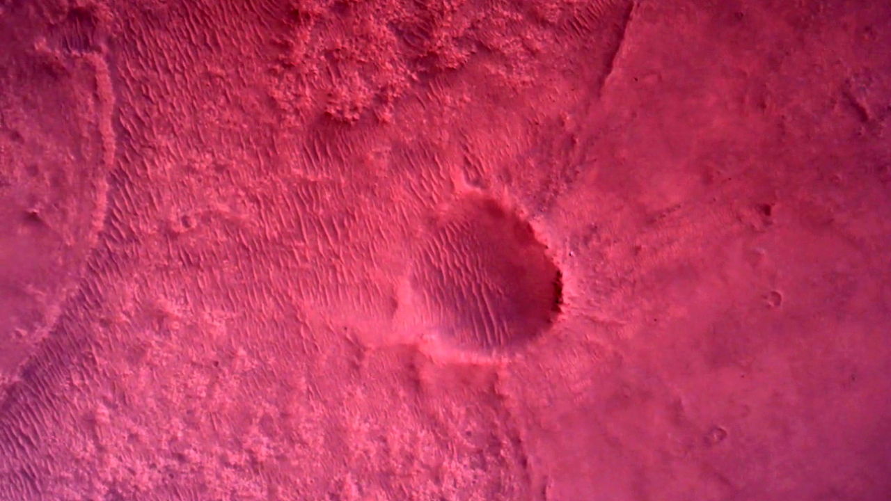 Aufnahme vom Mars, die der Rover "Preseverance" bei seiner Landung machte. | via REUTERS