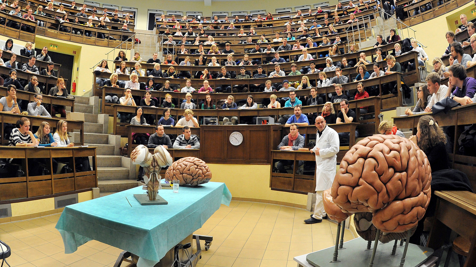 Studenten der Human- und Zahnmedizin hören im historischen Hörsaal am Institut für Anatomie der Universität in Leipzig eine Vorlesung zu Neuroanatomie. | Bildquelle: dpa