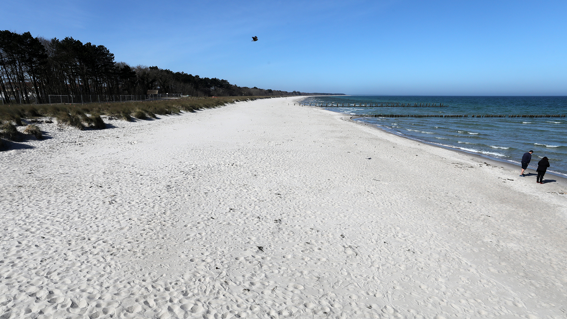 Fast Menschenleerer Strand an der Ostsee in Mecklenburg-Vorpommern | dpa