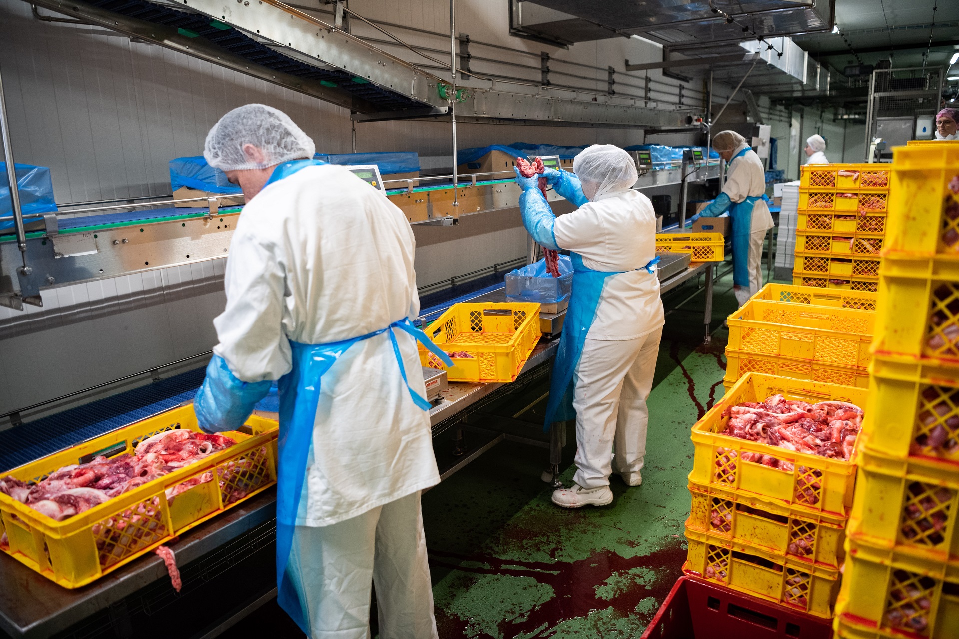 Fleischindustrie: Wie Leiharbeiter weiter ausgebeutet werden