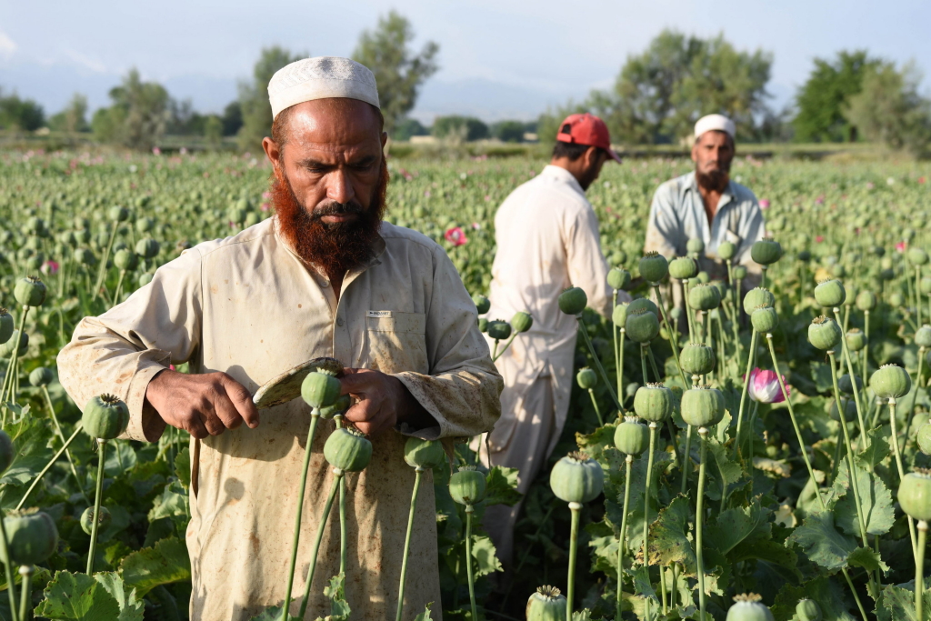 Opium-Bauern in Nangarhar