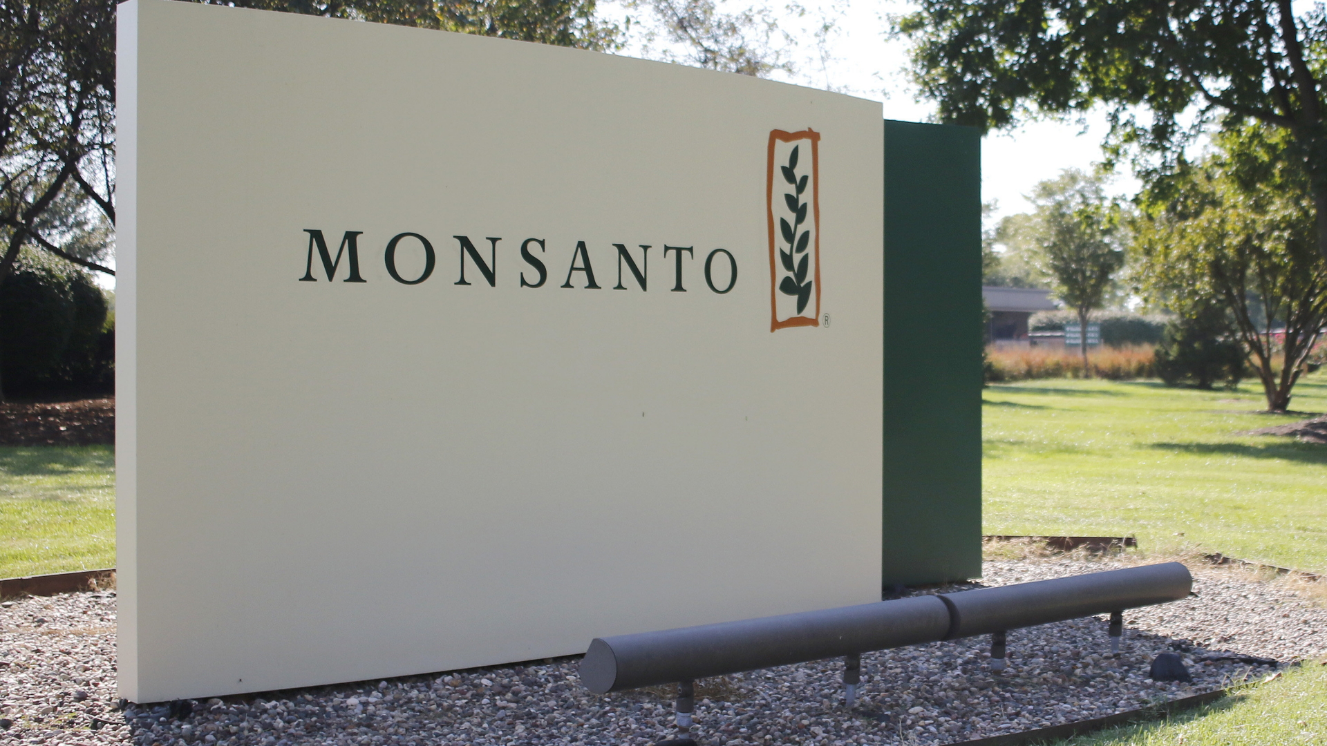 Logo von Monsanto  | dpa