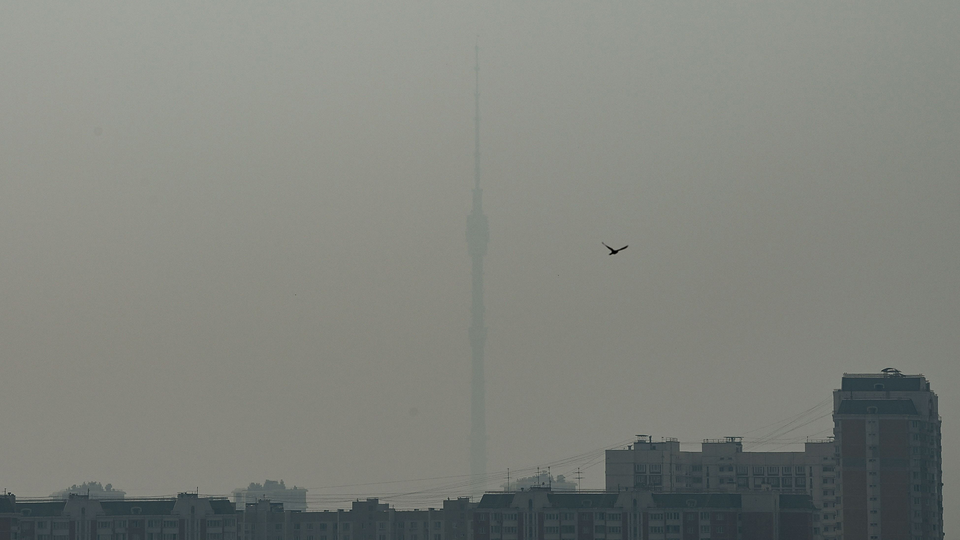 Die Aufnahme zeigt den 540 Meter hohen Ostankino-Fernsehturm in Moskau (Russland) im Smog. | AFP