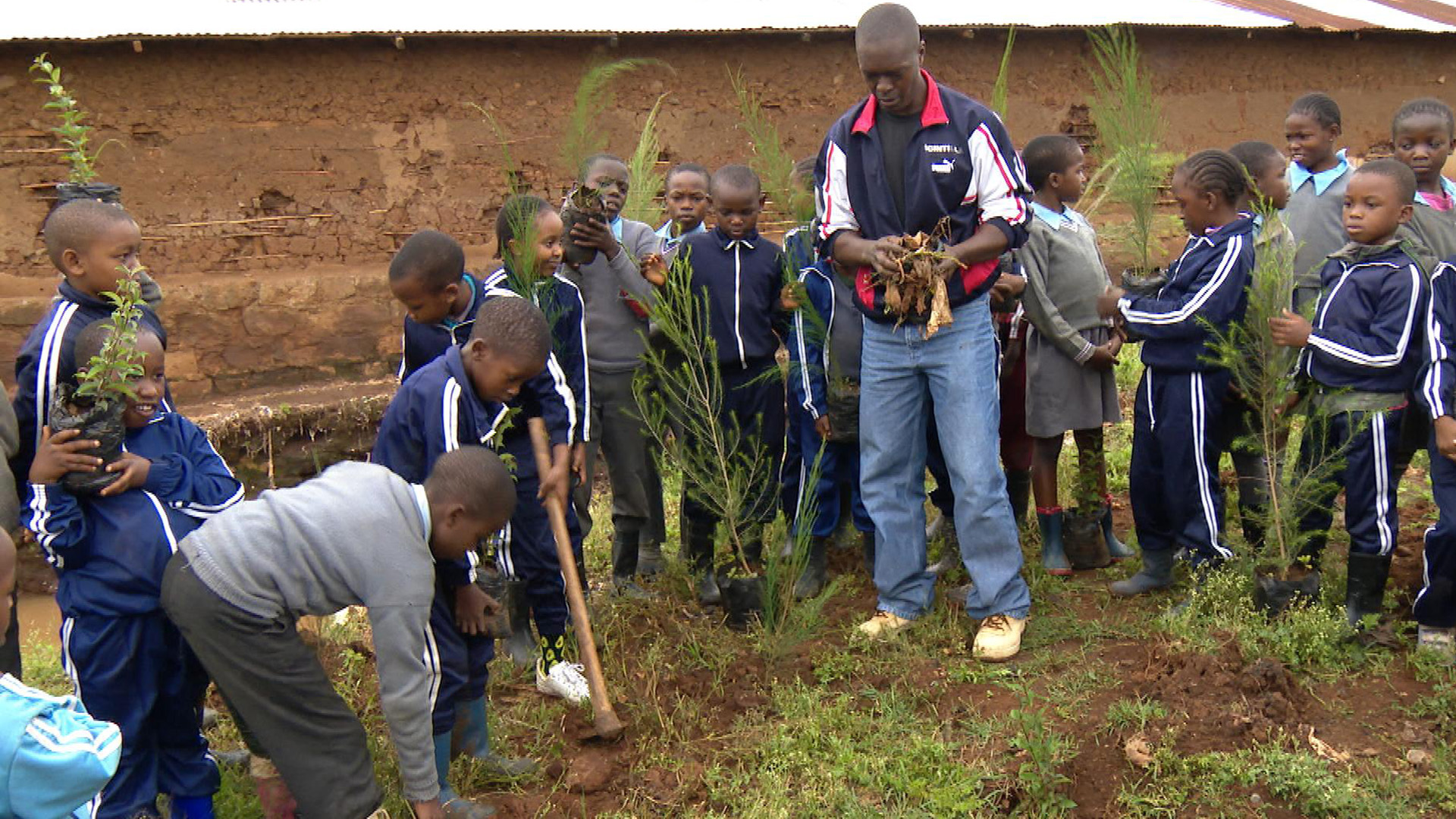 Nairobi-Damm: Umweltaktion Baumpflanzung | Sabine Bohland/SWR
