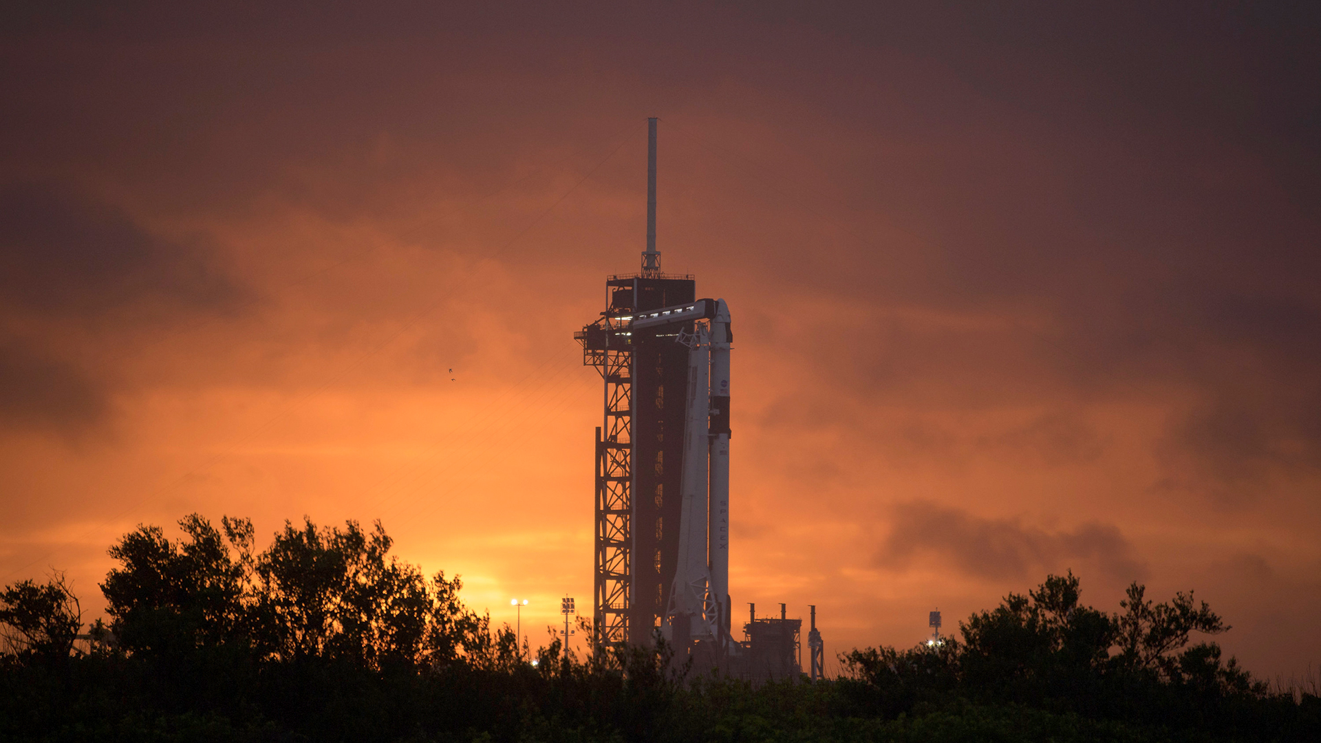 Die SpaceX Falcon 9-Rakete ist auf der Startrampe für die Demo-2-Mission im Kennedy Space Center der NASA in Cape Canaveral, Florida, am 25. Mai 2020, zu sehen. | AP