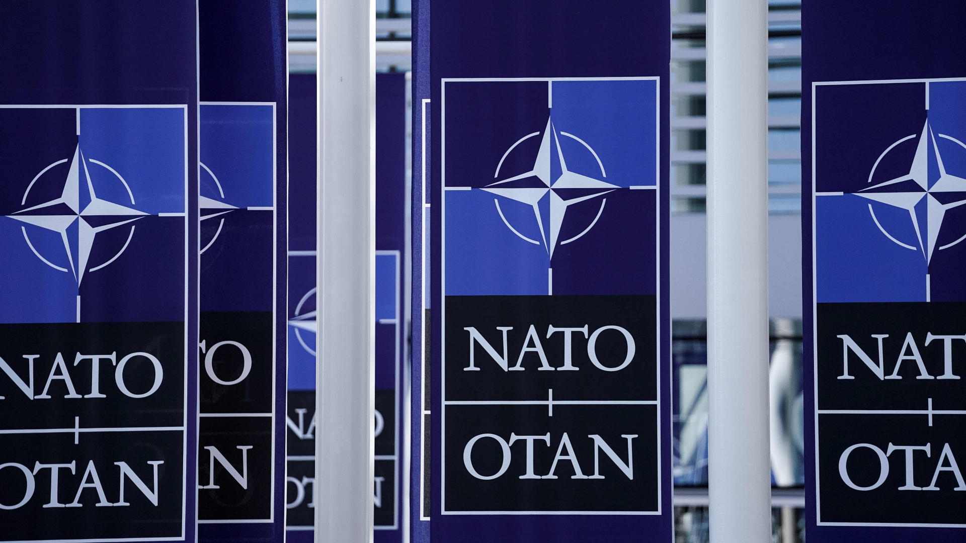 Flaggen der  NATO | AFP