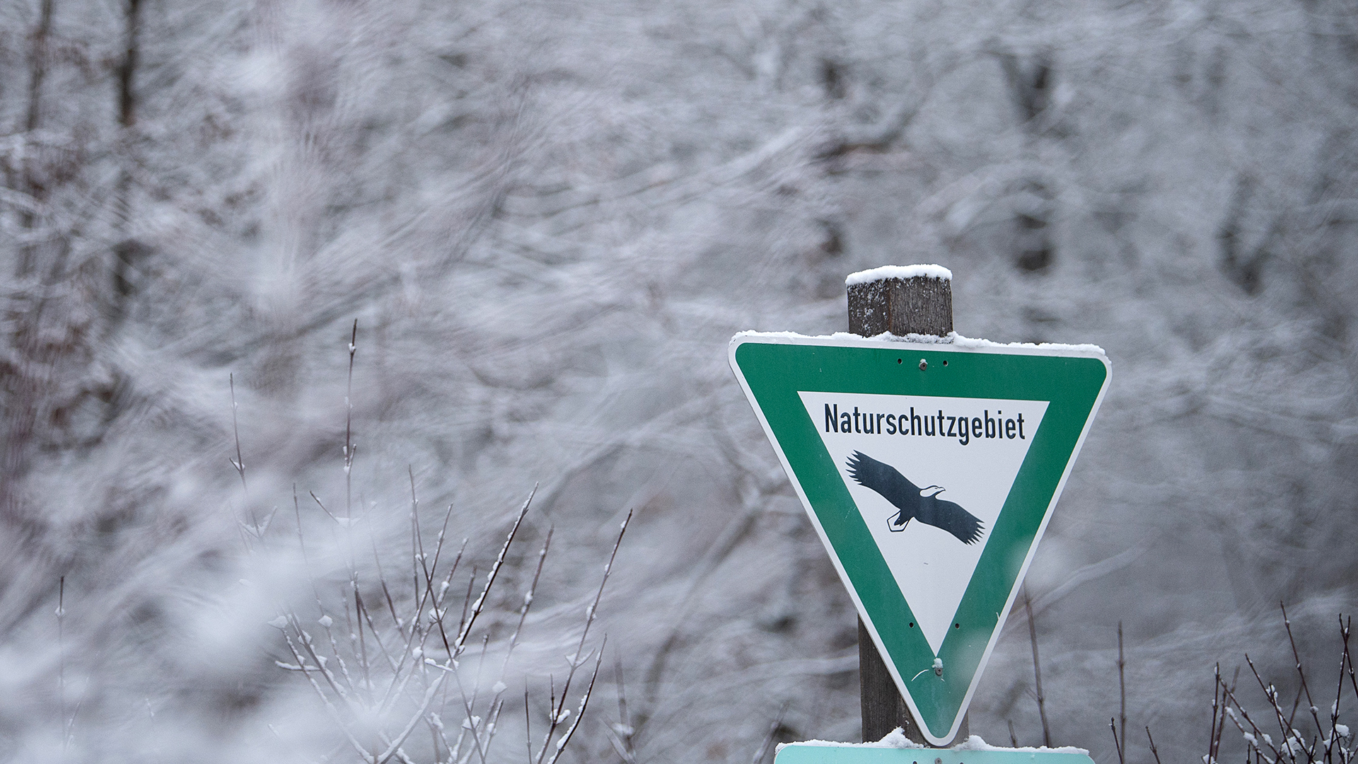Ein Schild weist auf ein Naturschutzgebiet hin.  | dpa