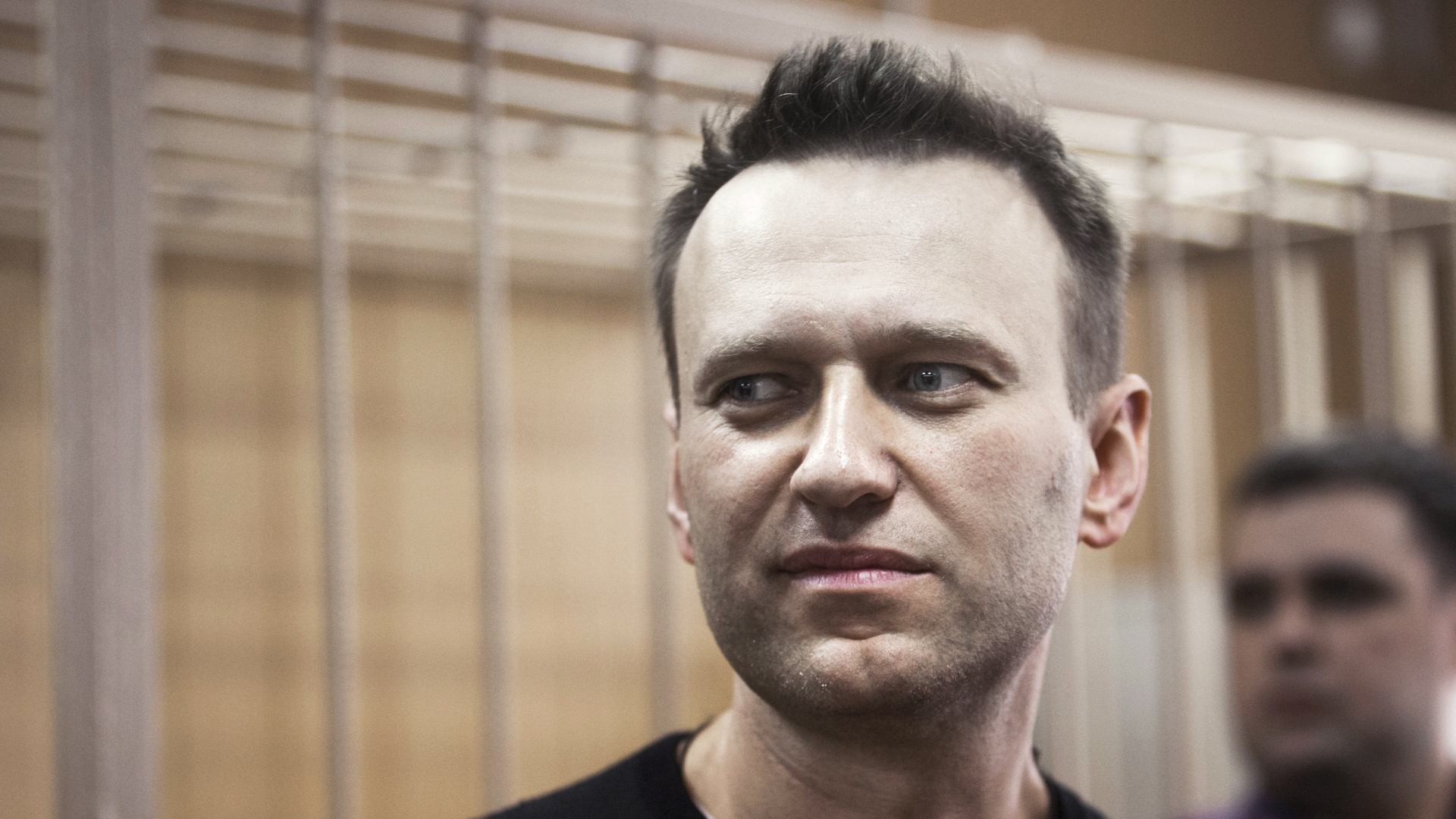 Der russische Oppositionspolitiker Alexej Nawalny vor Gericht