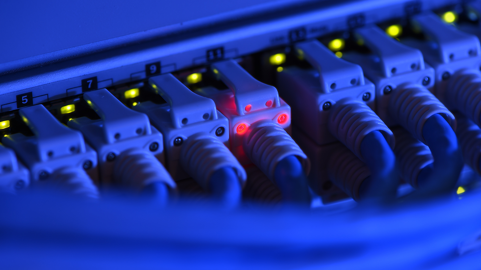 Ein Netzwerk-Kabelstecker leuchtet in der Netzwerkzentrale einer Firma zu Kontrollzwecken rot. | picture alliance/dpa