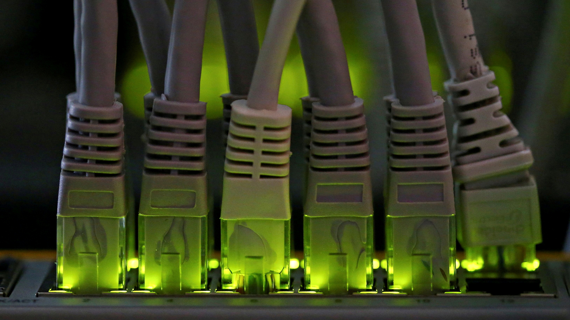 Mehrere Netzwerkkabel stecken in einem Stecker. | REUTERS