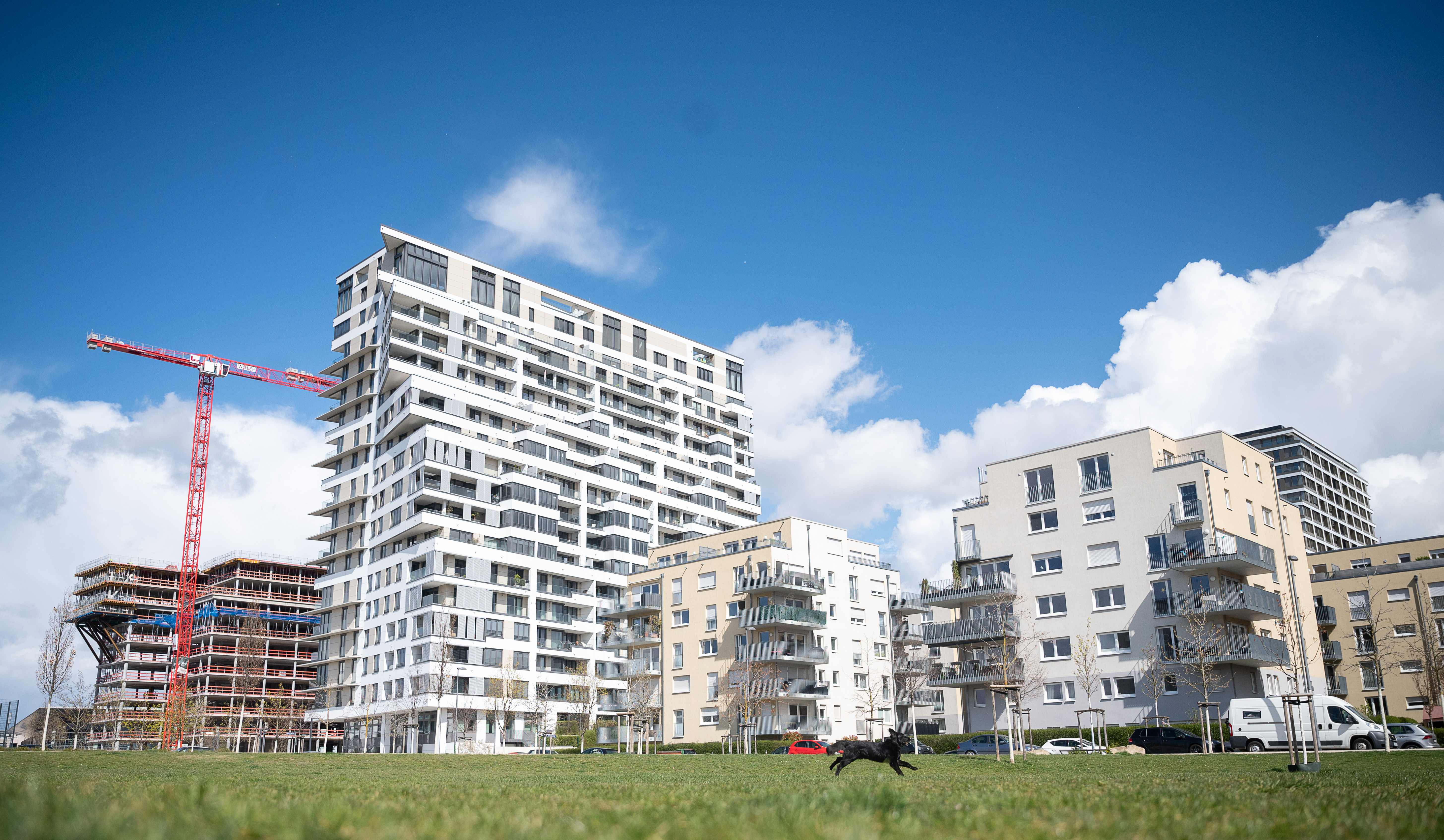 Neubauten in einem Wohnviertel in Frankfurt | dpa