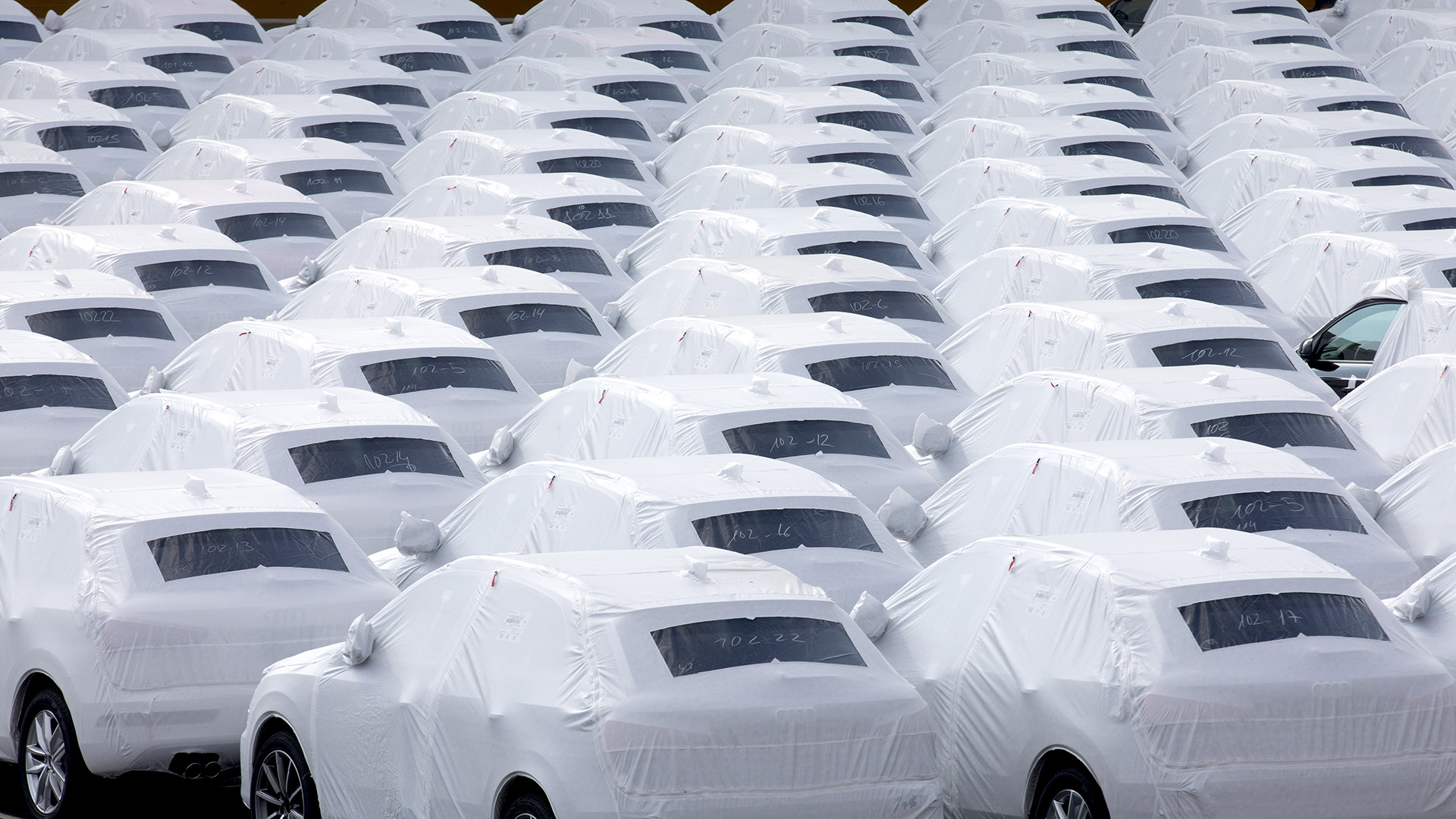Verpackte Neuwagen des VW-Konzerns stehen nebeneinander | picture alliance/dpa