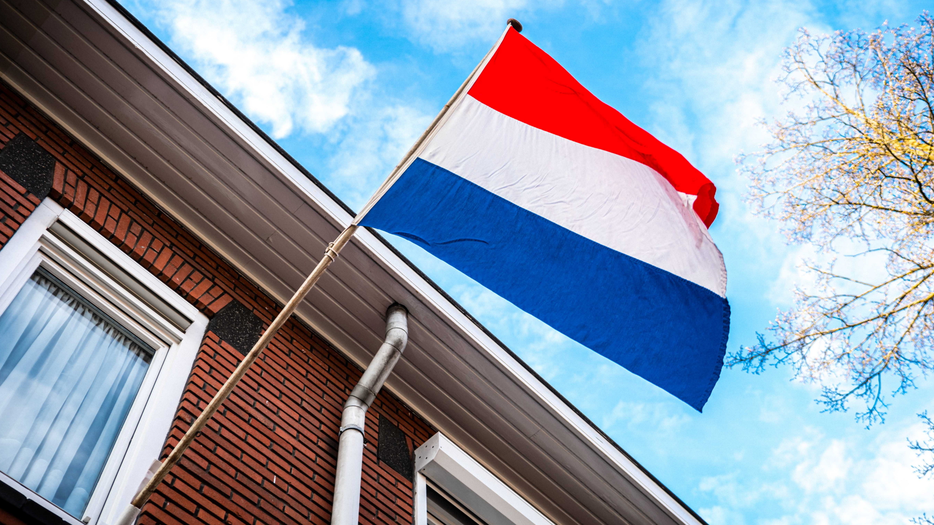Die Flagge der Niederlande | EPA