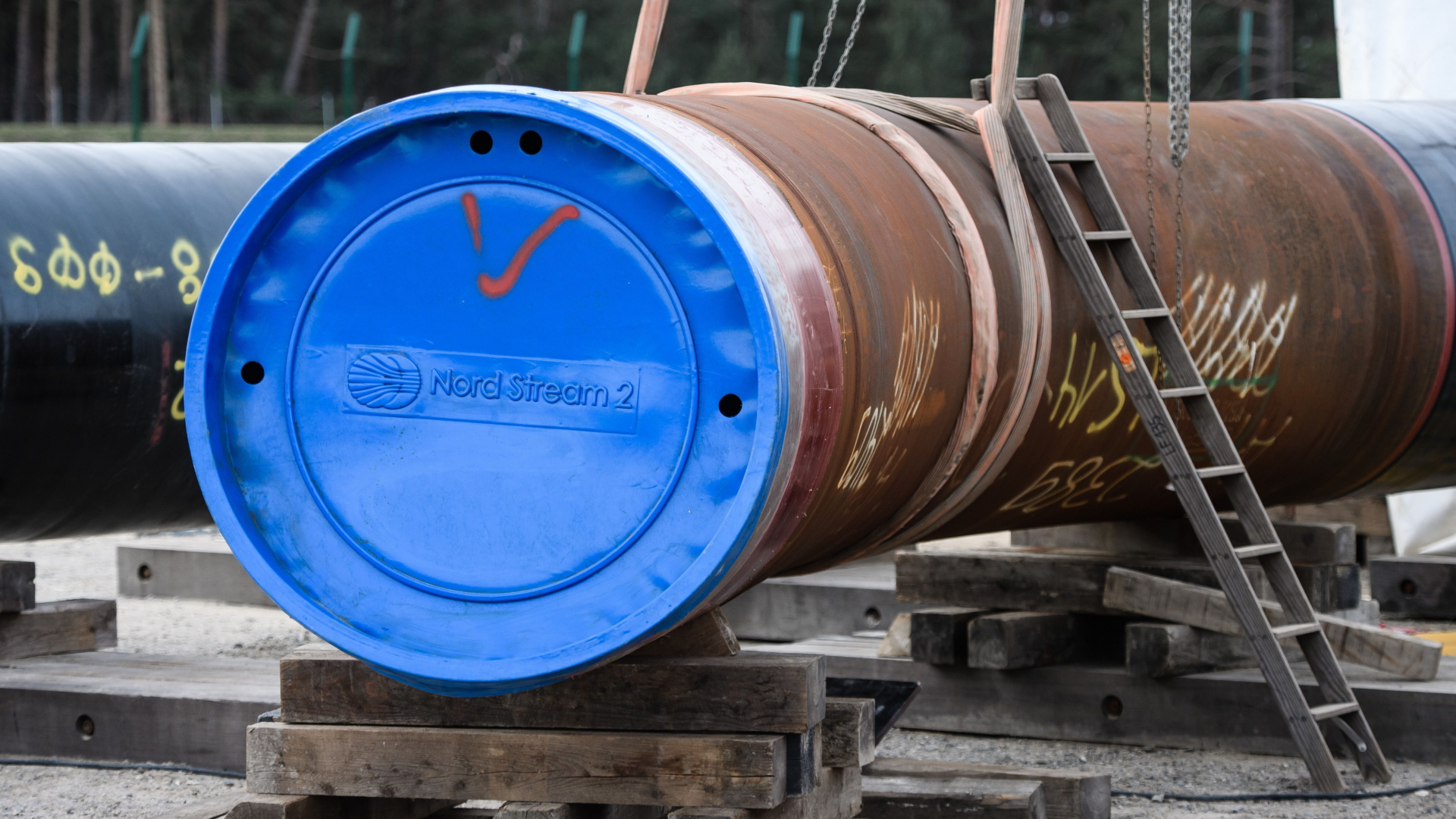 Ein Rohr für den Bau der Ostsee-Pipeline Nord Stream 2, verschlossen mit einem blauen Deckel. | CLEMENS BILAN/EPA-EFE/Shuttersto