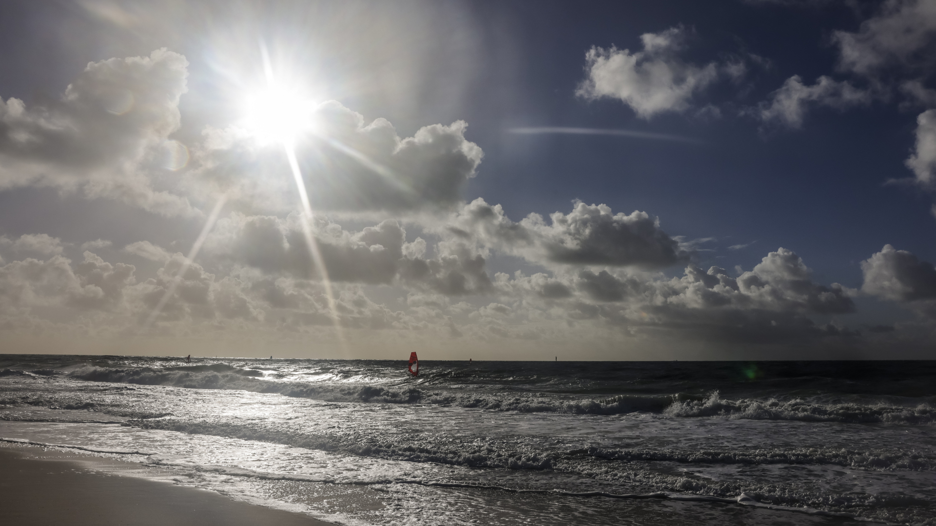 Summer 2022 Survey: Measuring Record Temperatures in the North Sea