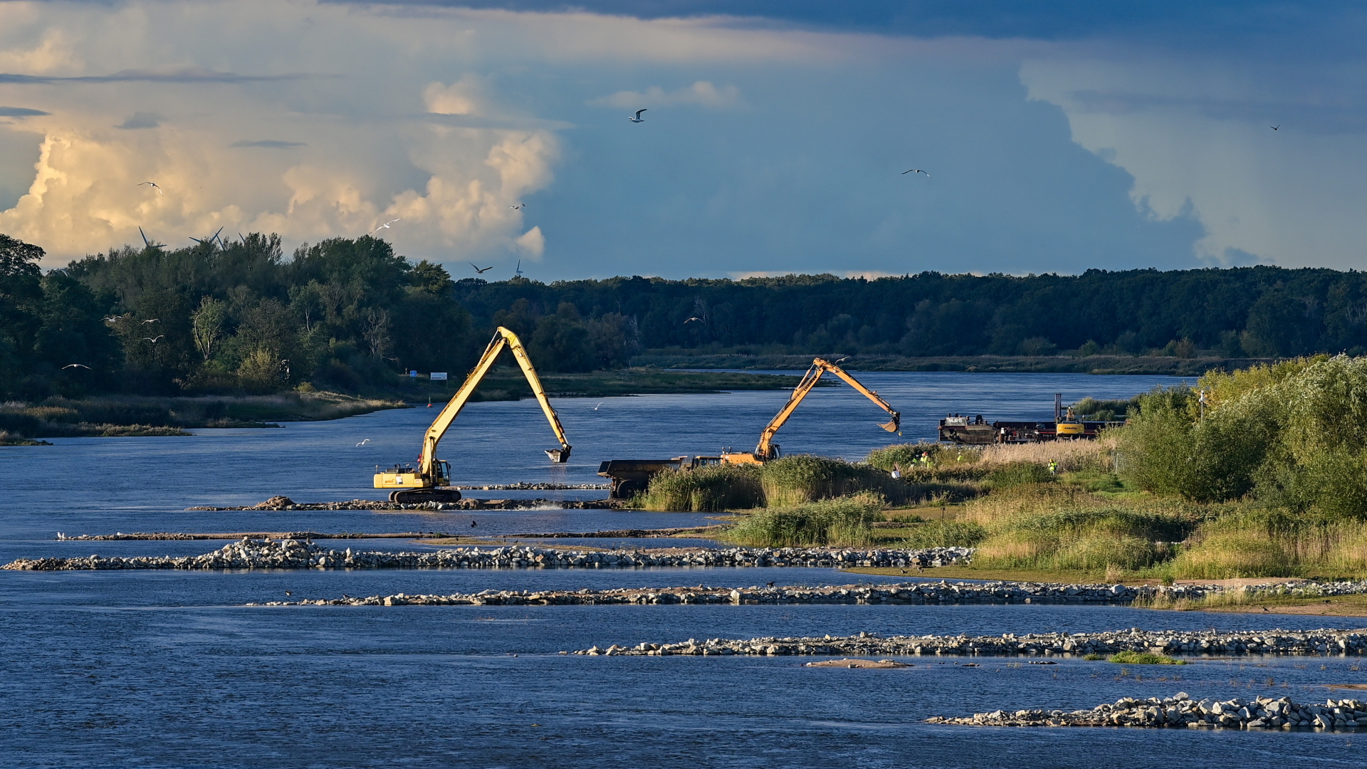 Nur wenige Wochen nach der Umweltkatastrophe im Fluss Oder hat Polen den Ausbau des Flusses wieder aufgenommen. Das Foto zeigt Baumaschinen zum Ausbau des deutsch-polnischen Grenzflusses auf der polnischen Uferseite. | dpa