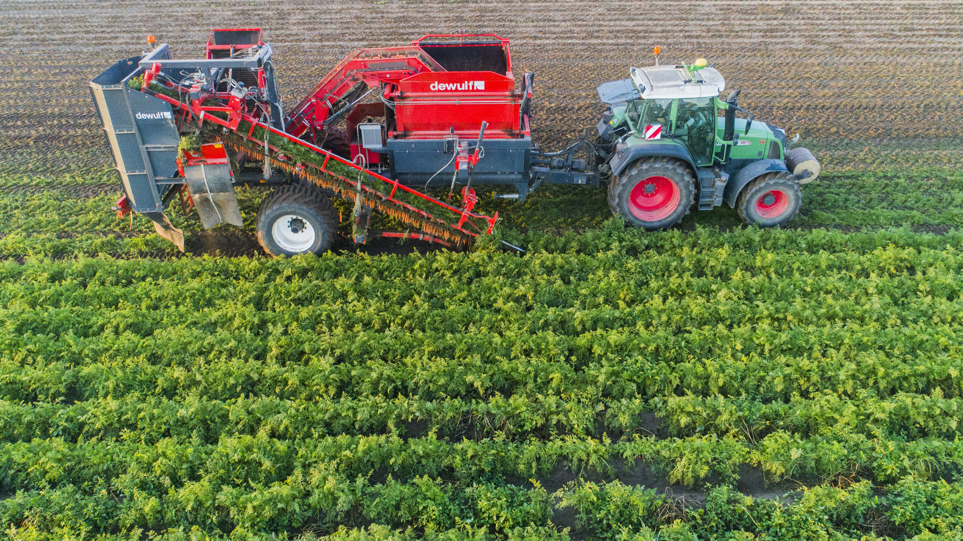 Ein Landwirt erntet Bio-Möhren auf einem Feld in der Nähe von Hildesheim