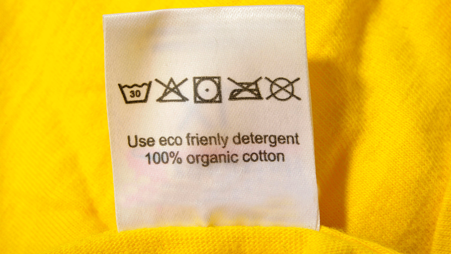 100% Bio-Baumwolle Label an einem T-Shirt  | picture alliance / imageBROKER