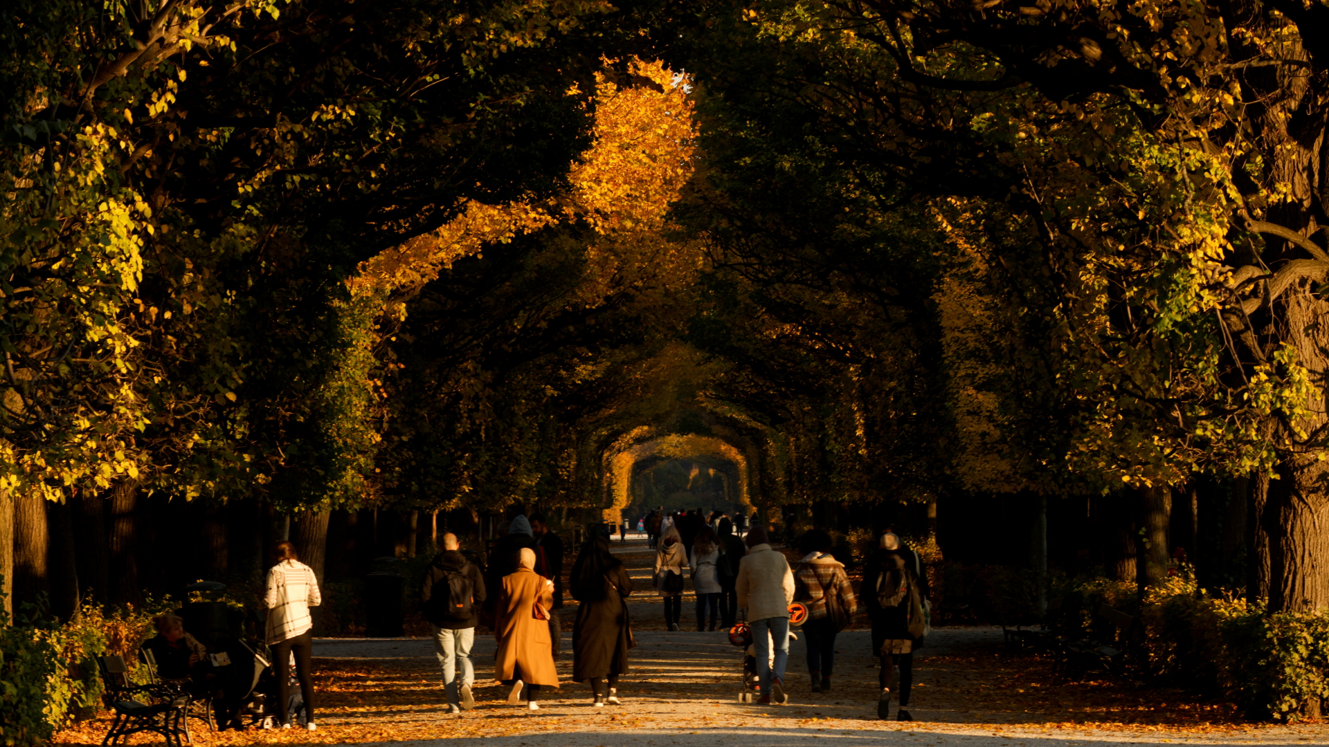 Menschen spazieren an einem sonnigen Herbsttag durch eine dichte Allee in einem Park in Wien. | REUTERS