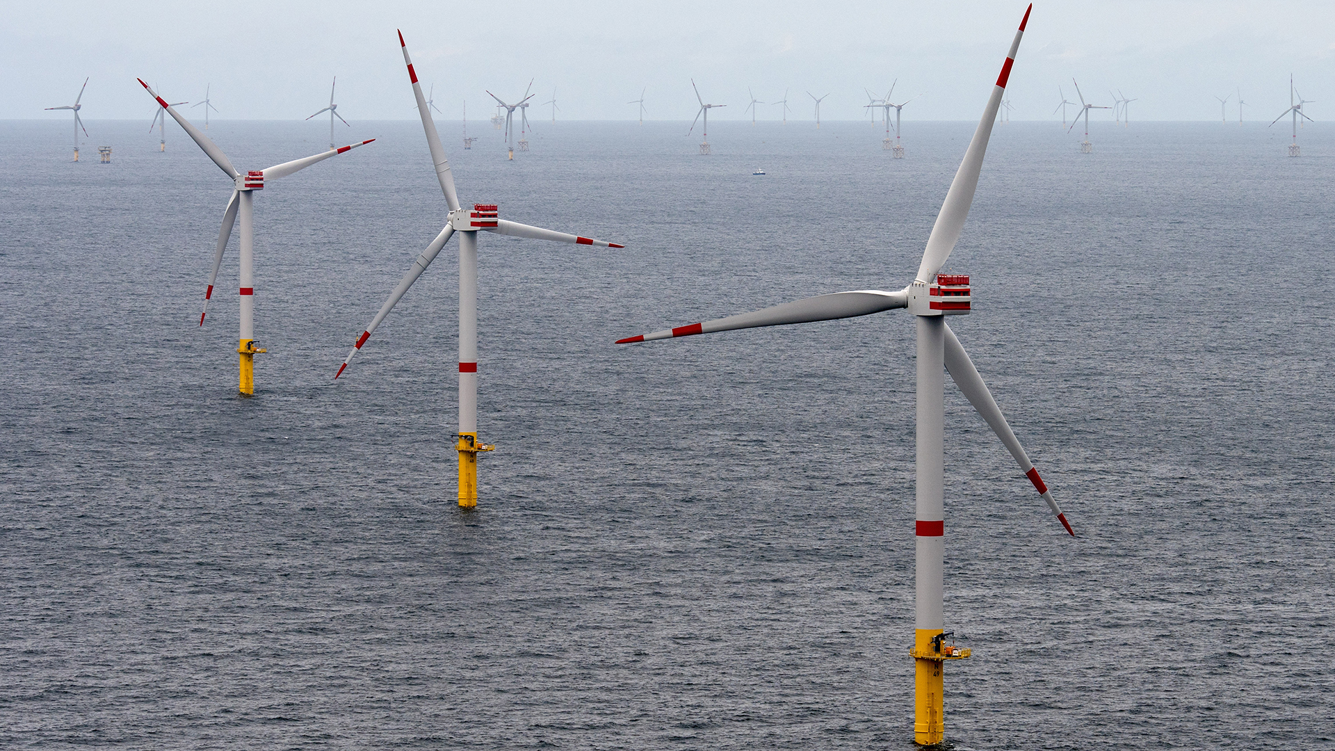 Windräder eines Offshore-Windparks in der Nordsee (Archivbild) | picture alliance / Ingo Wagner/d