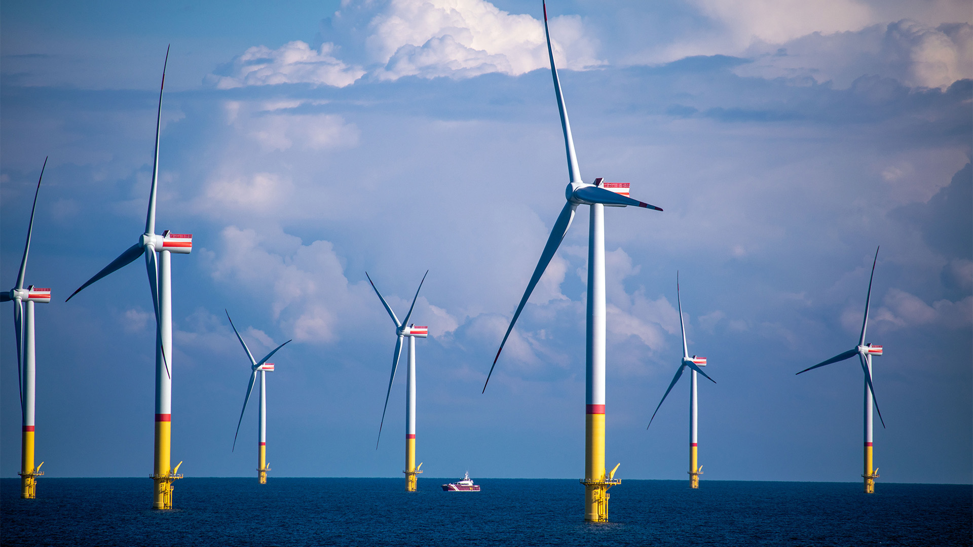 Ein Offshore-Windpark in Mecklenburg-Vorpommern | dpa