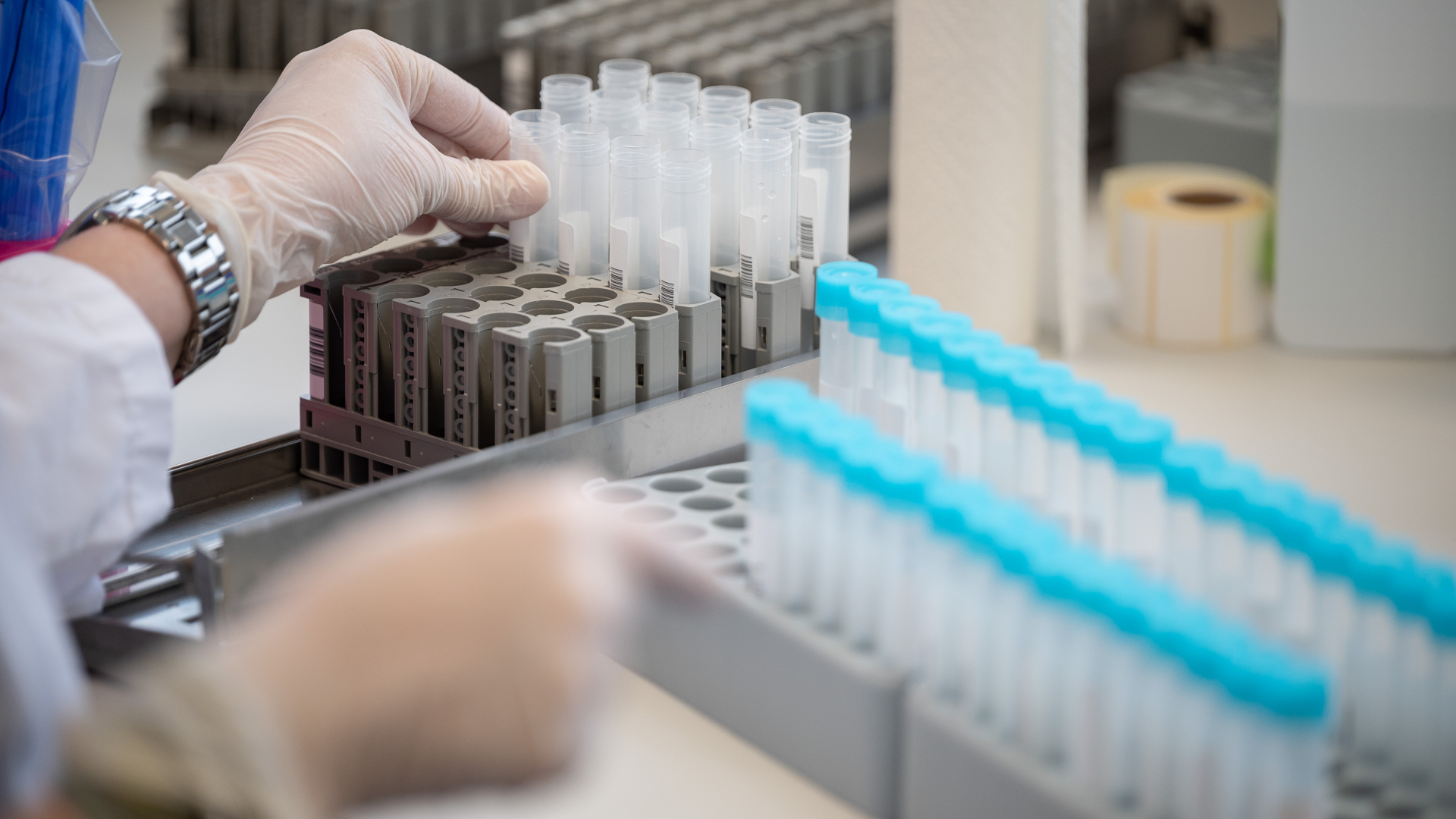 Teströhrchen für PCR-Tests in einem Labor