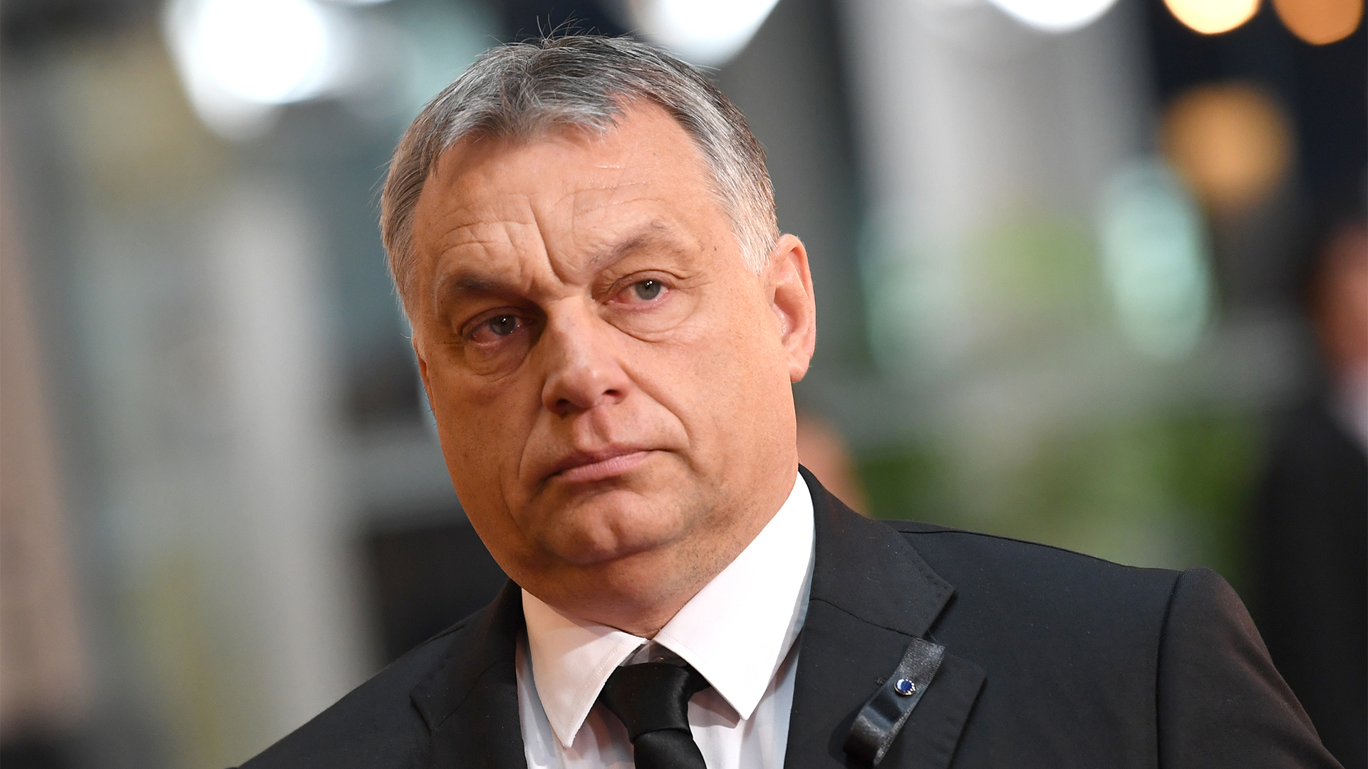 Viktor Orban | picture alliance / Sven Hoppe/dp
