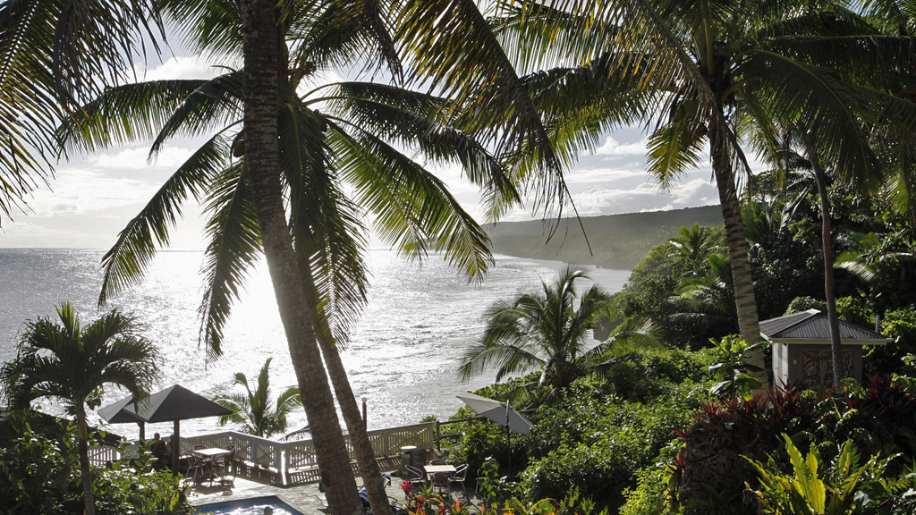 Palmen auf der Insel Niue. | picture alliance / AP Images