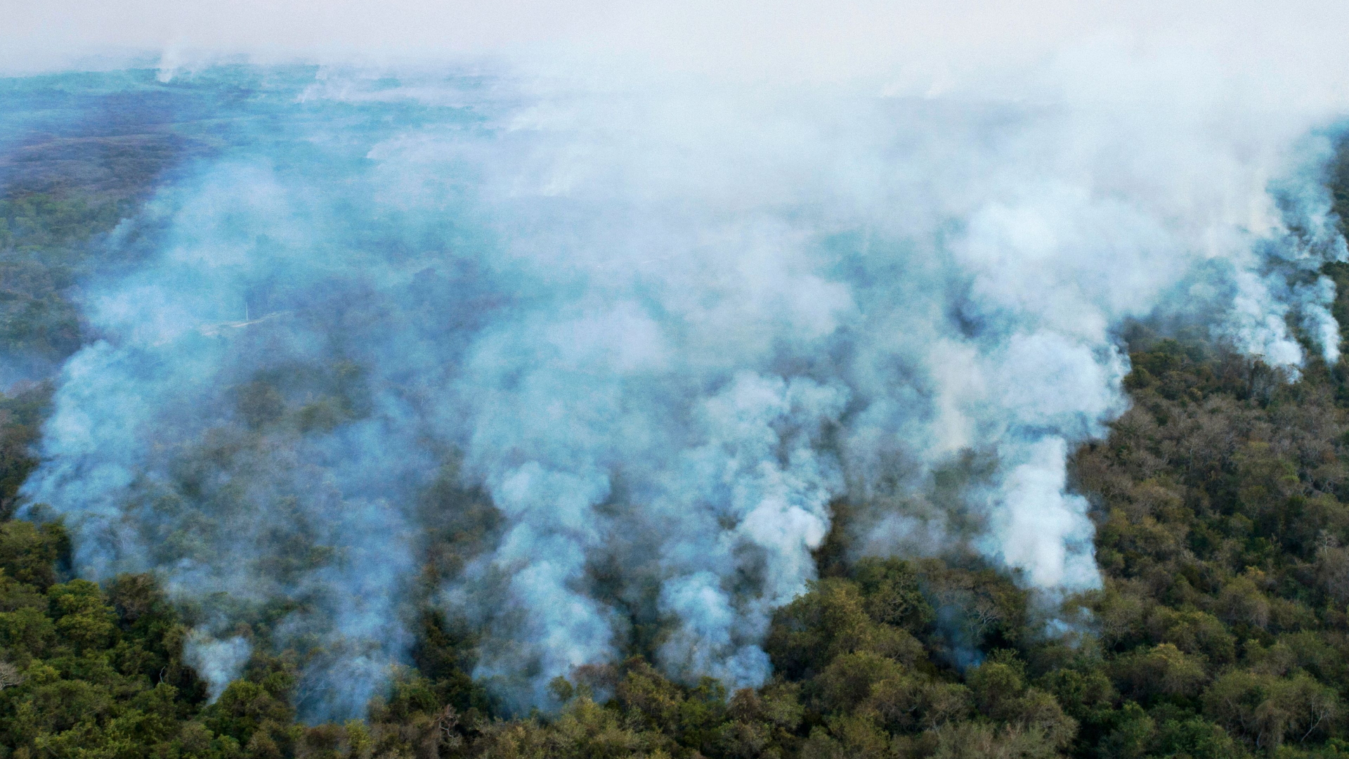 Luftbild der Feuer bei Pocone im Pantanal | AFP