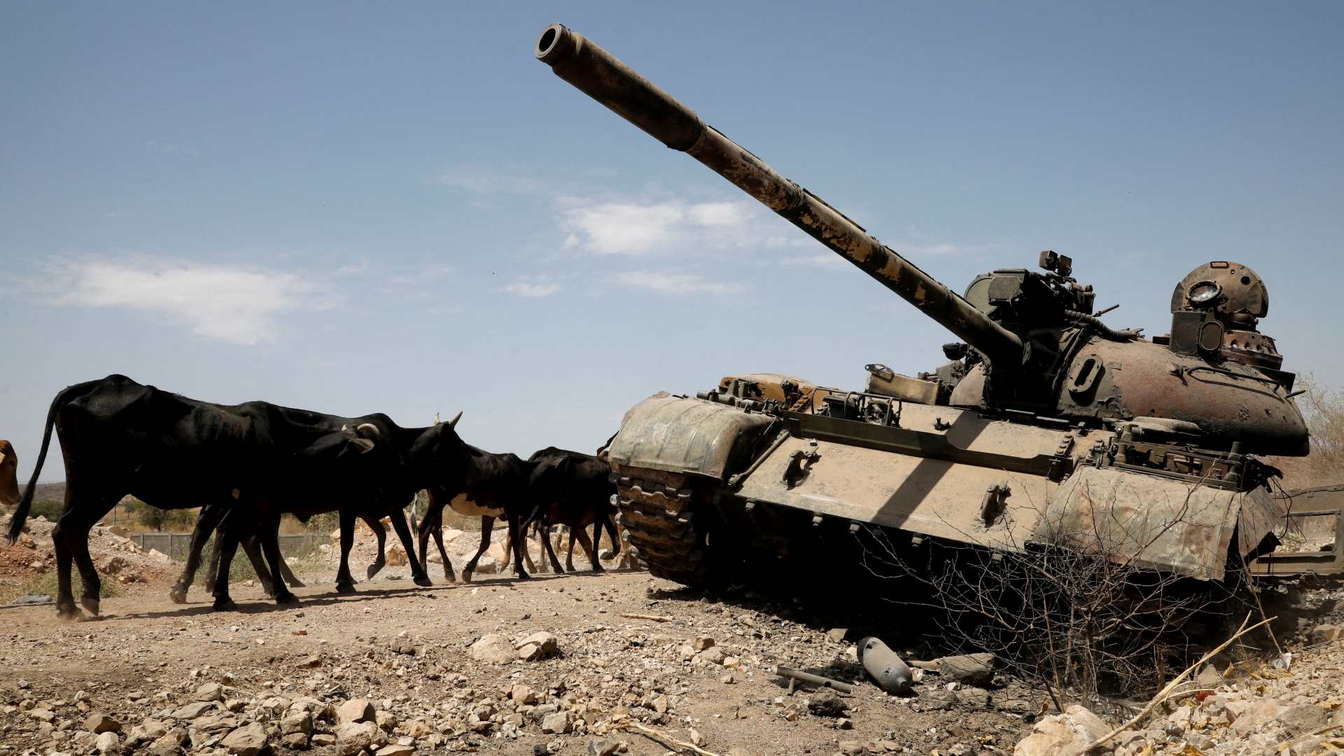 Zerstörter Panzer in der Tigray-Region | REUTERS