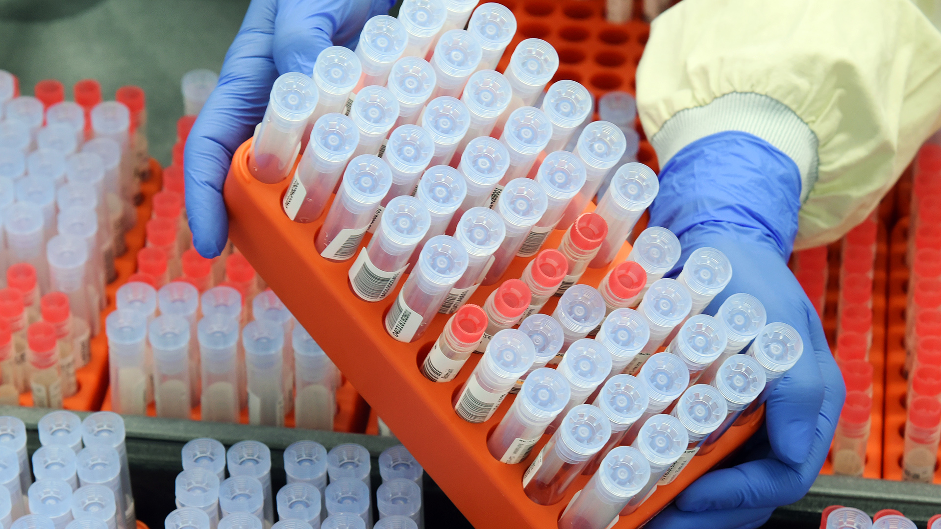Teströhrchen für PCR-Tests in einem Labor | dpa