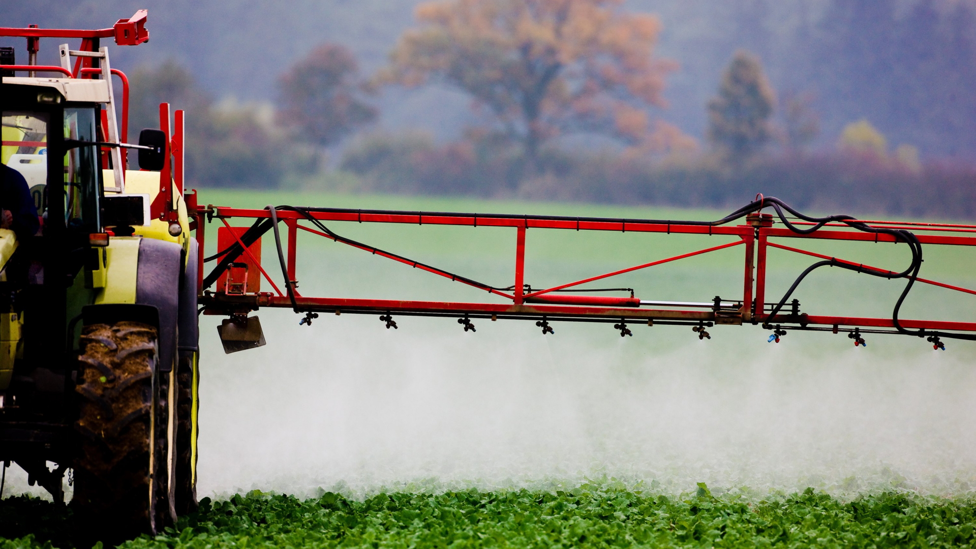 Umwelthilfe und Foodwatch: Gerichtlich gegen Pestizid-Produkte