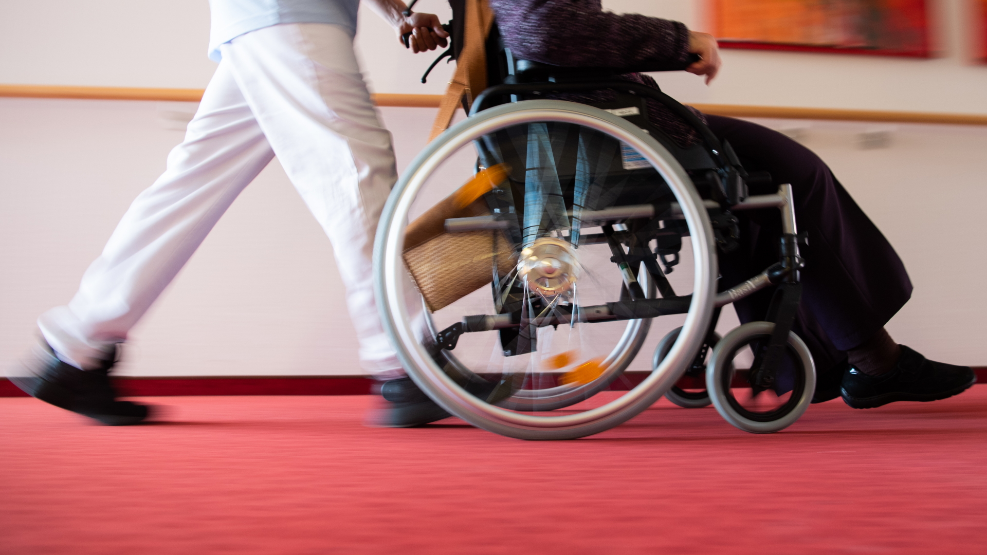Ein Pfleger eines Pflegeheims schiebt eine Bewohnerin mit einem Rollstuhl.  | dpa