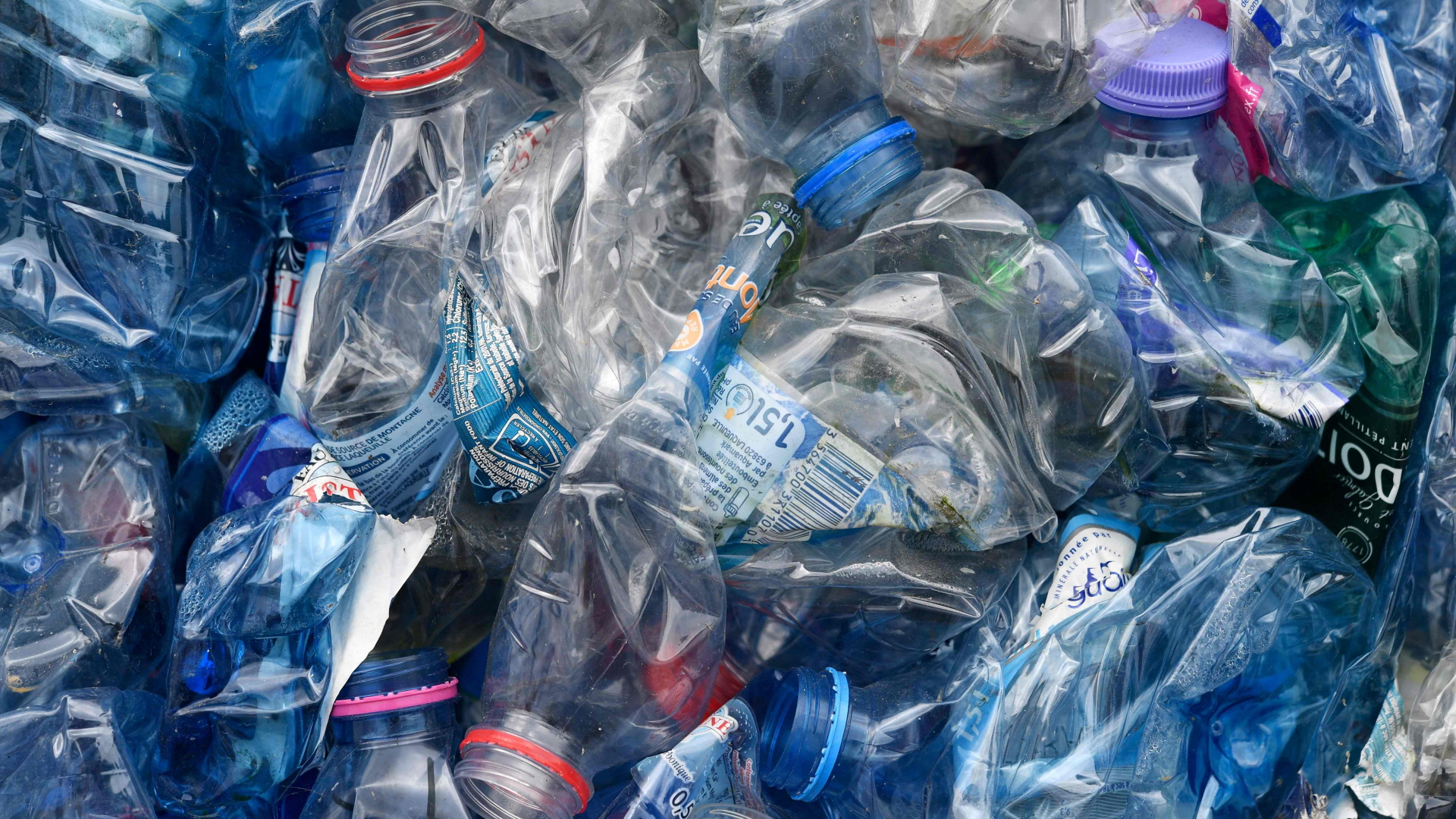 Plastikflaschen in einer Recycling-Anlage im französischen Bourg-Blanc | Bildquelle: AFP