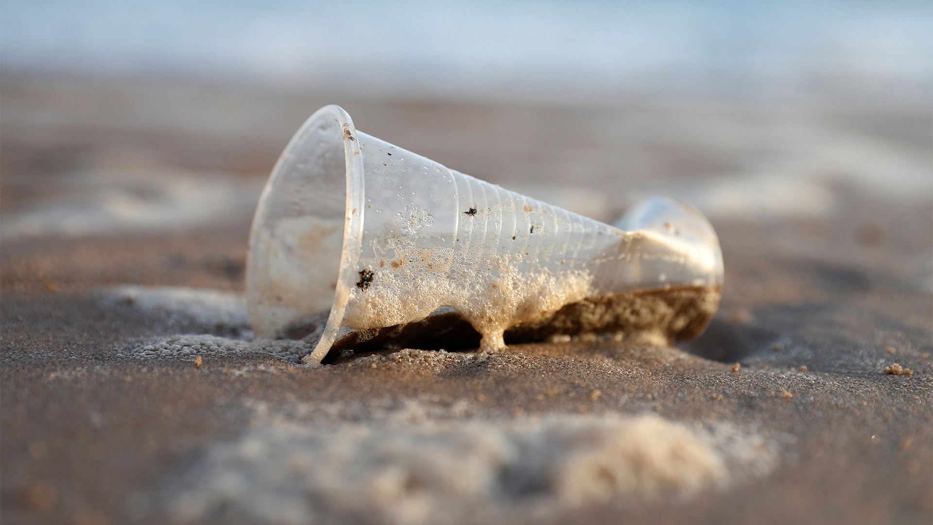 Ein Plastikbecher liegt am Strand von Liverpool | REUTERS