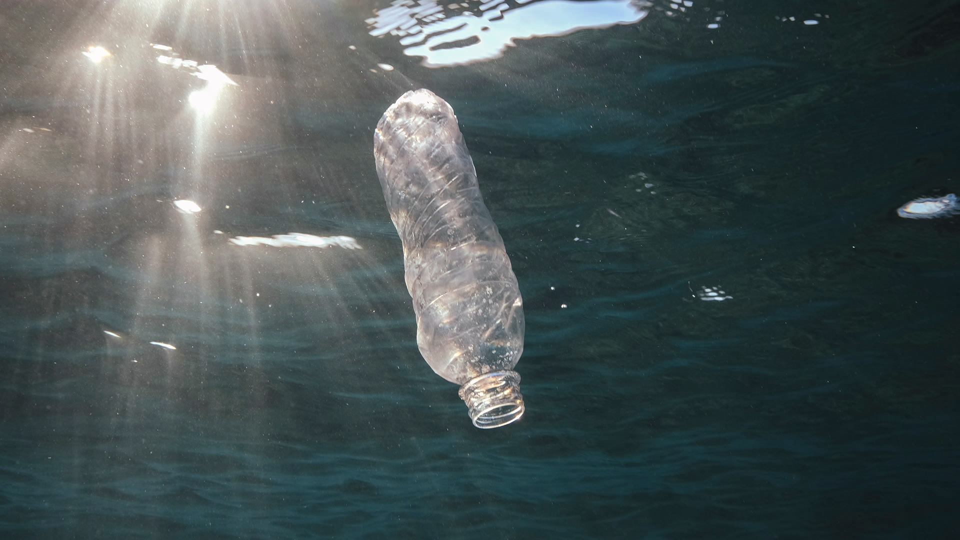 Eine weggeworfene Plastikflasche treibt im Roten Meer vor Ägypten und wird von der Sonne angestrahlt.