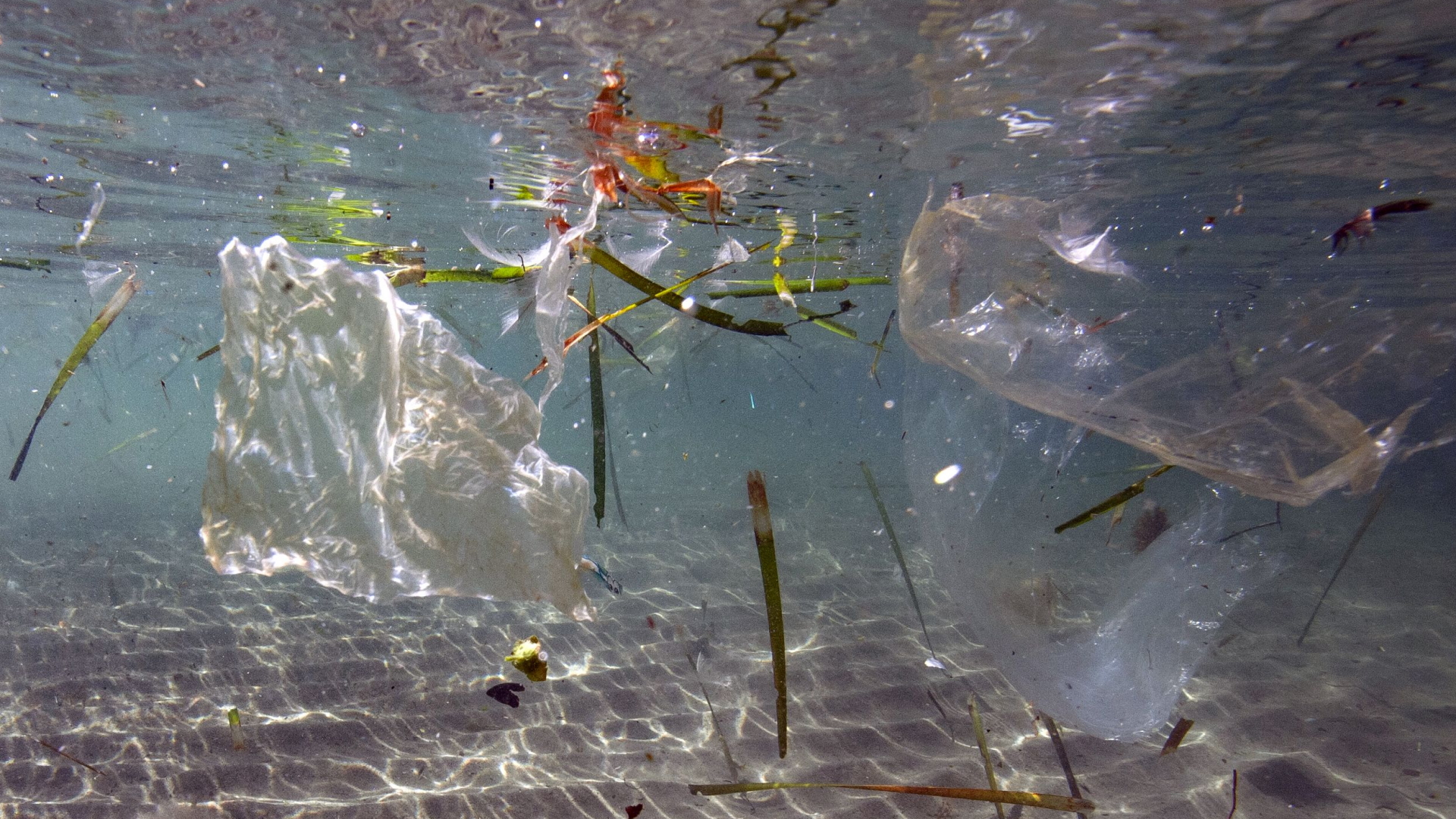 Plastikmüll treibt im Mittelmeer vor Marseille (Mai 2019) | AFP