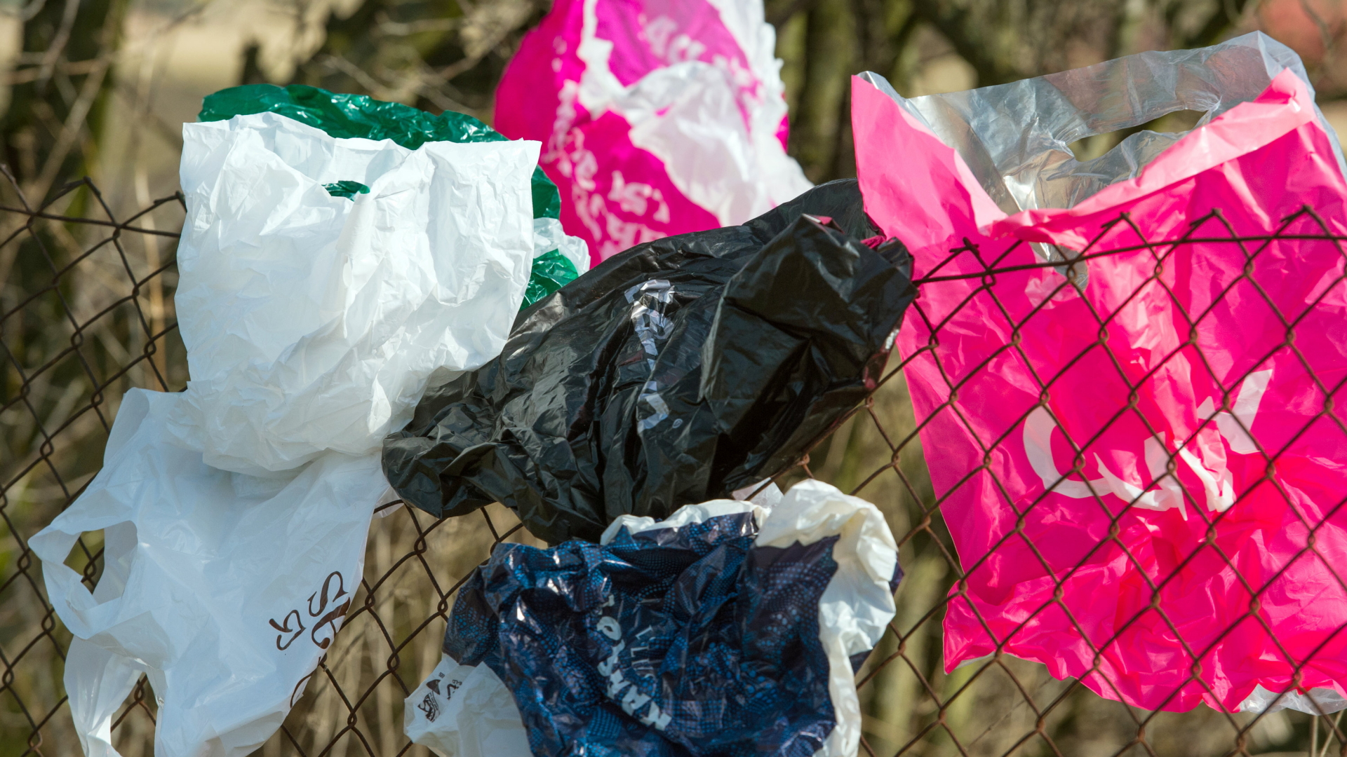 Plastiktüten verfangen sich an einem Zaun