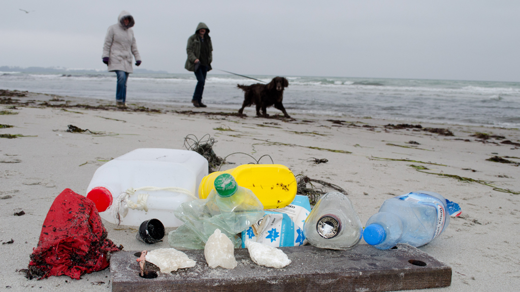 Plastikmüll an der Ostsee | picture alliance / dpa